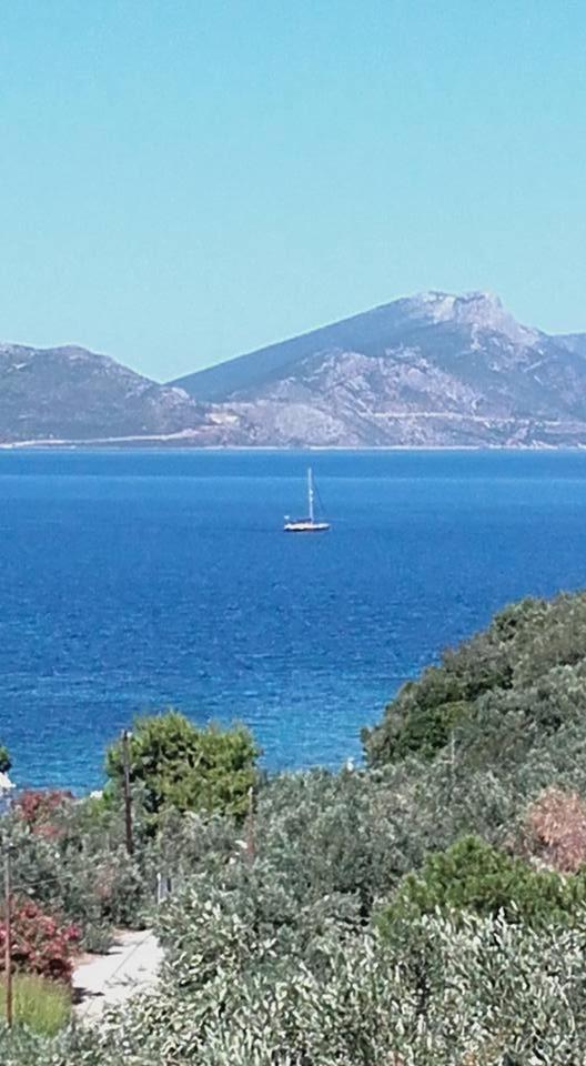 Theoxenia
