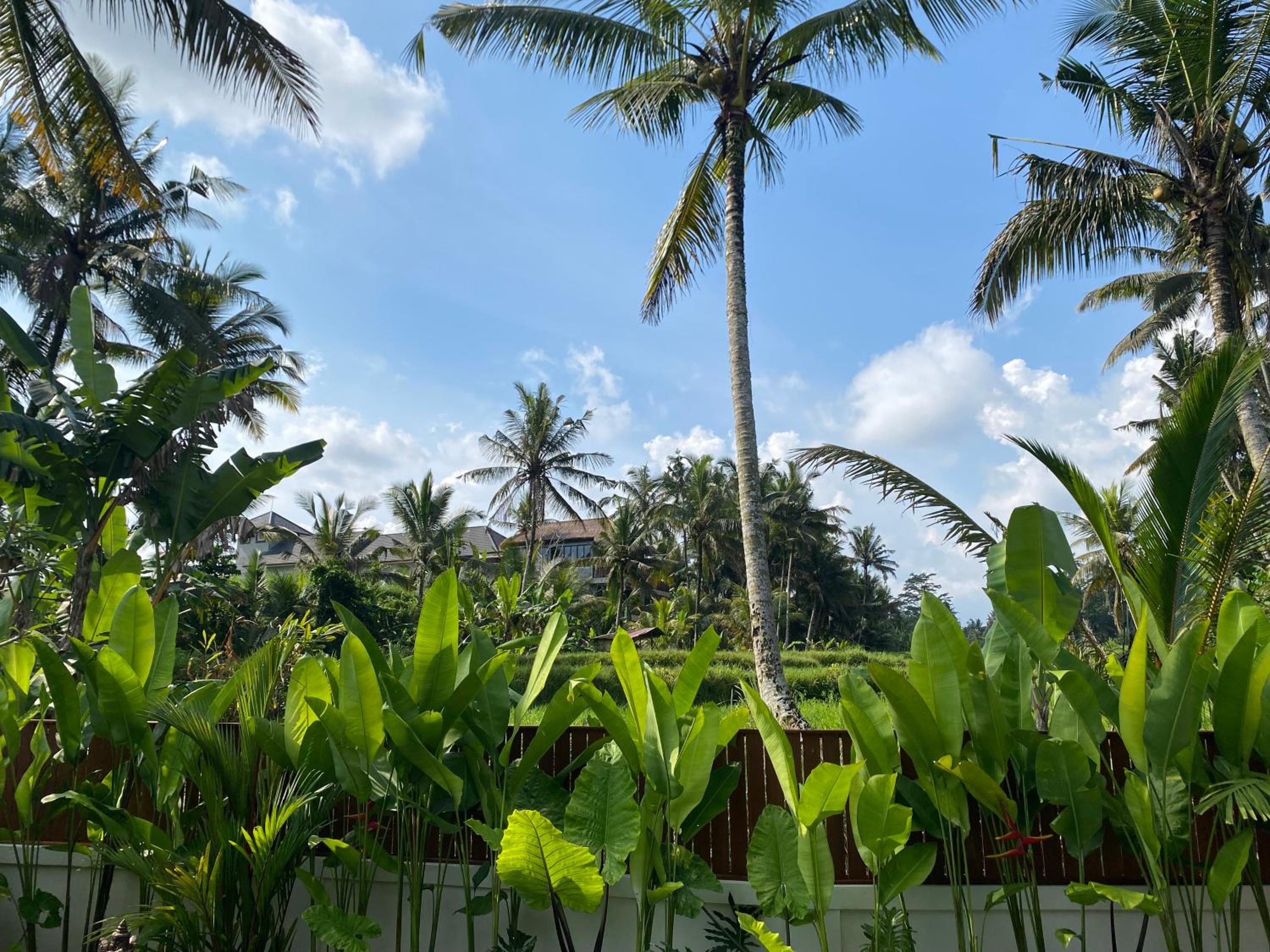 Puri Padi Ubud Rice Field Tranquil Villas by EPS