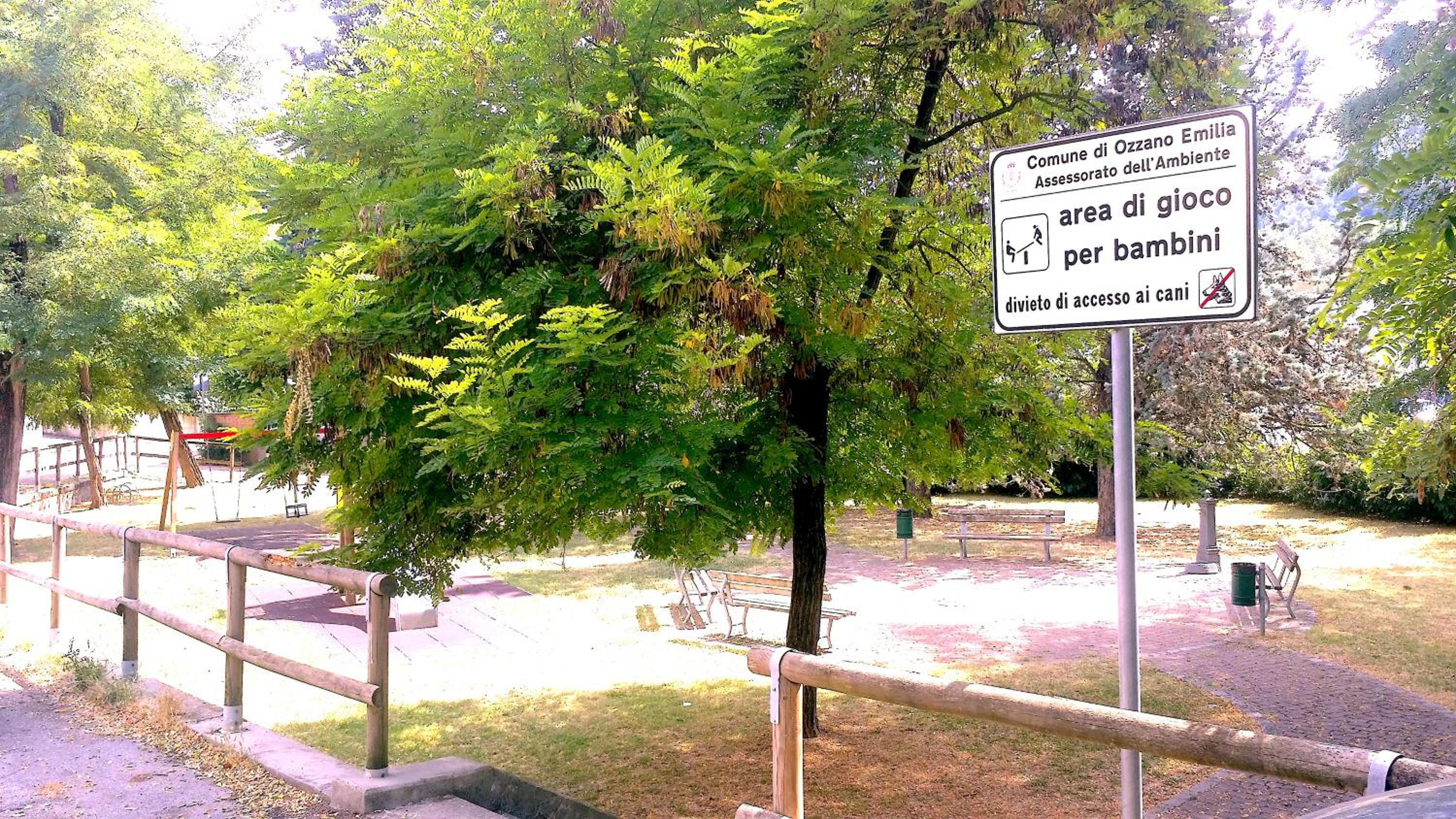Photo 43