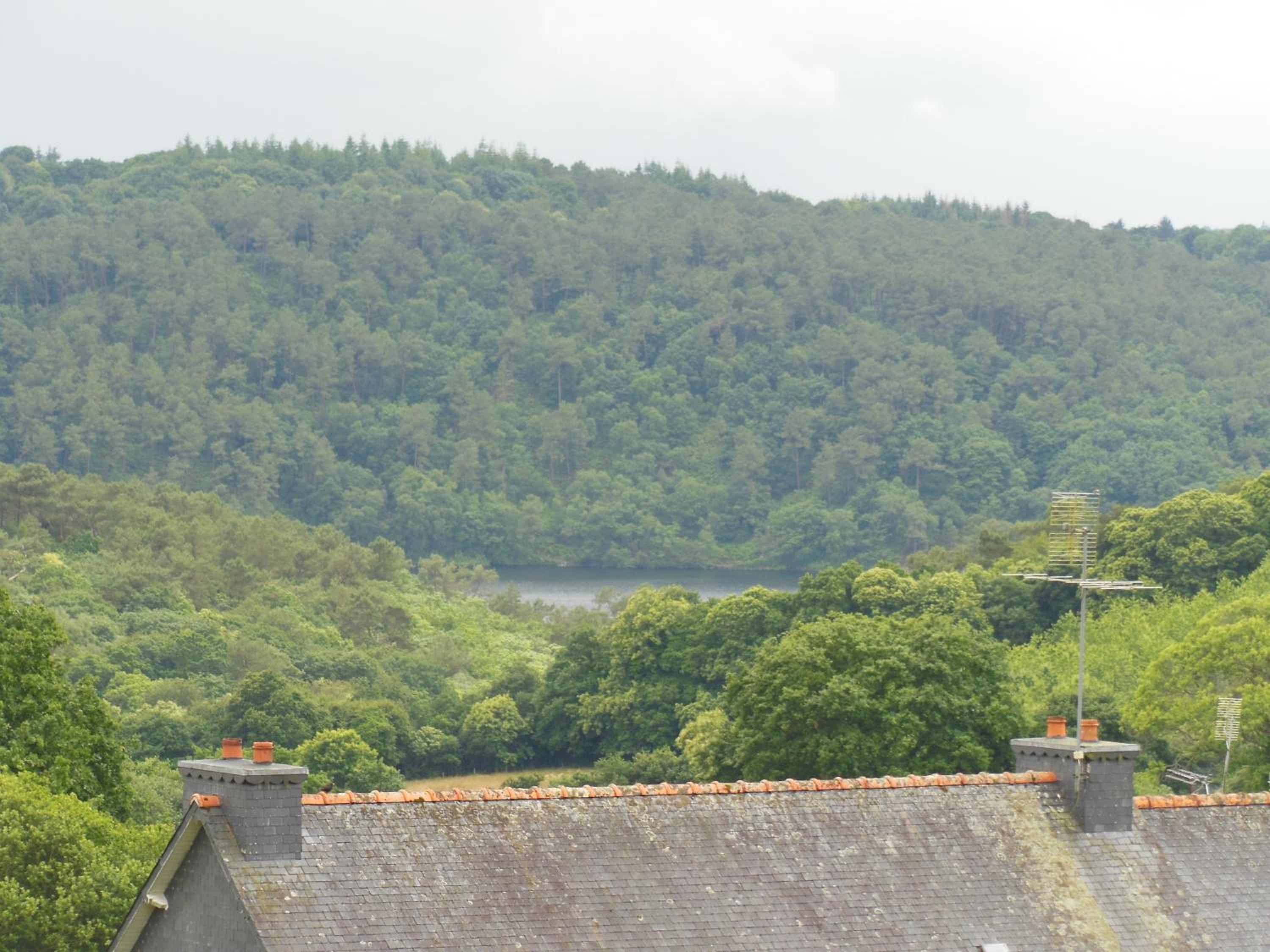 La Verrerie de Guerlédan view 3