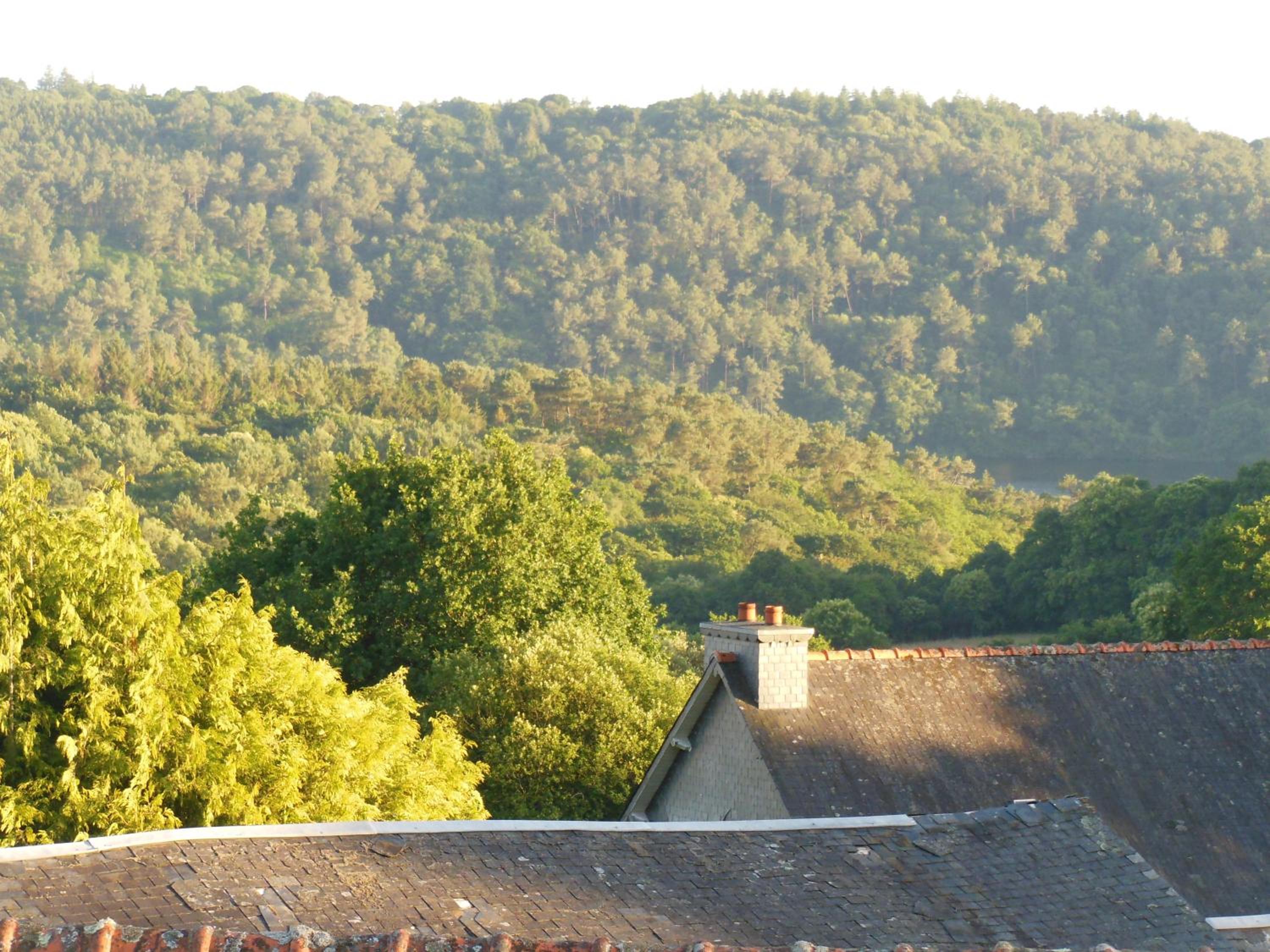 La Verrerie de Guerlédan view 4