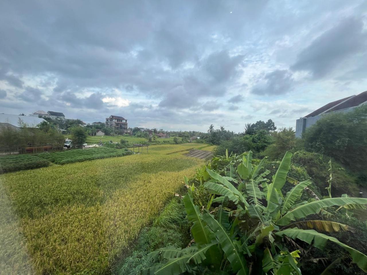 Natha Ubud Private Pool Villa by EPS