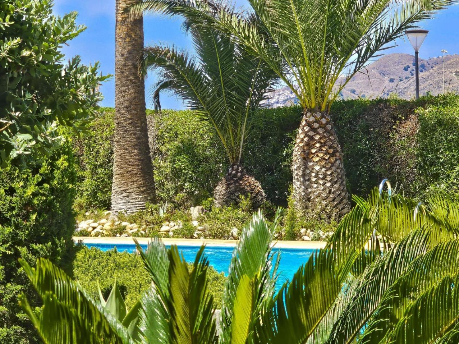 Stella Maris Nerja Beachfront Apartment, Sea View
