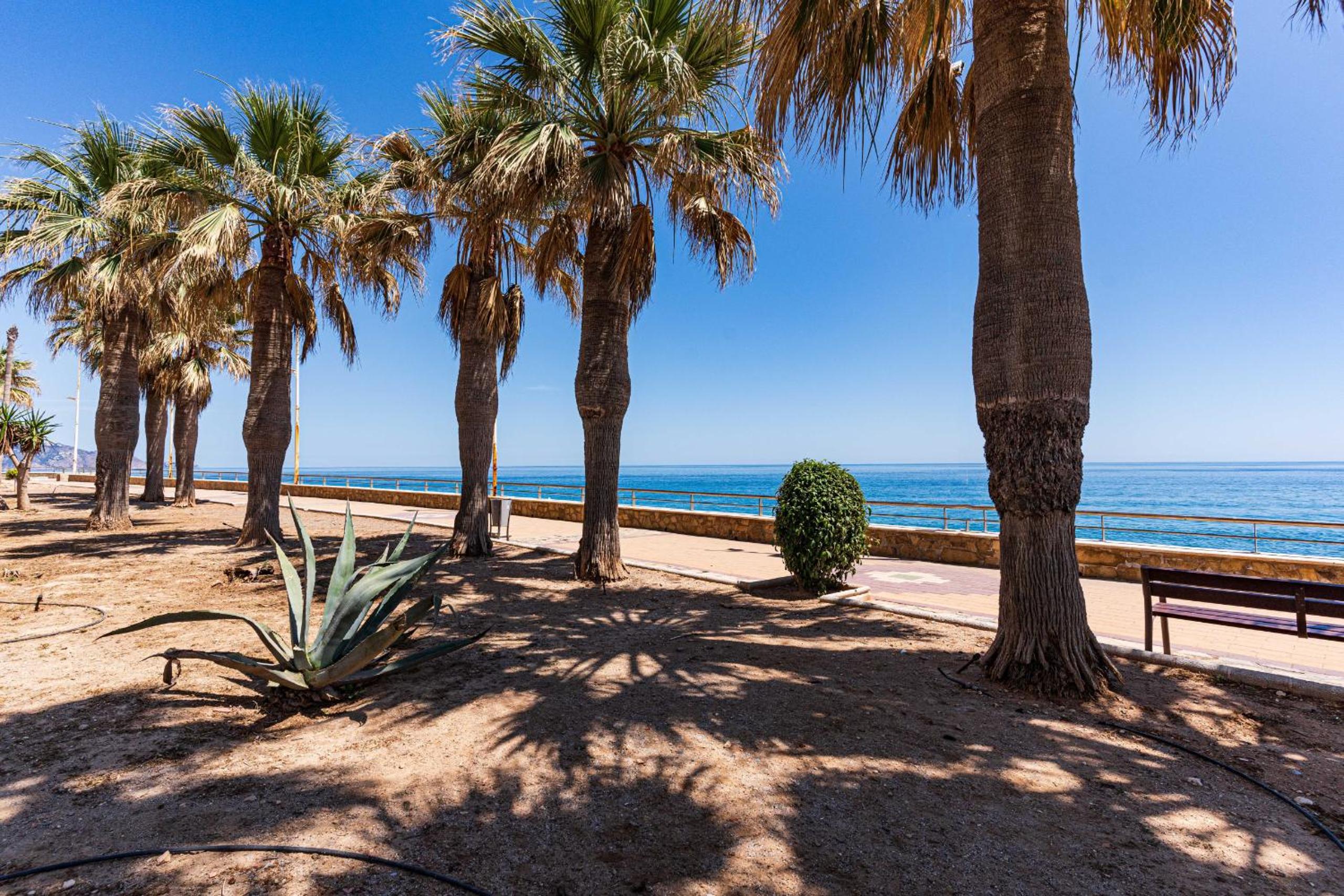 Toboso 2J Torrecilla Beach by Casasol