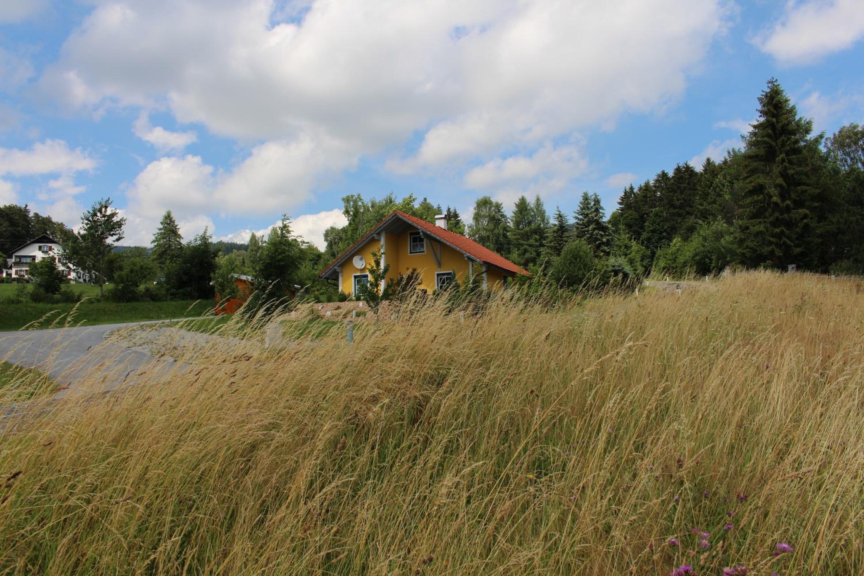 Photo 24