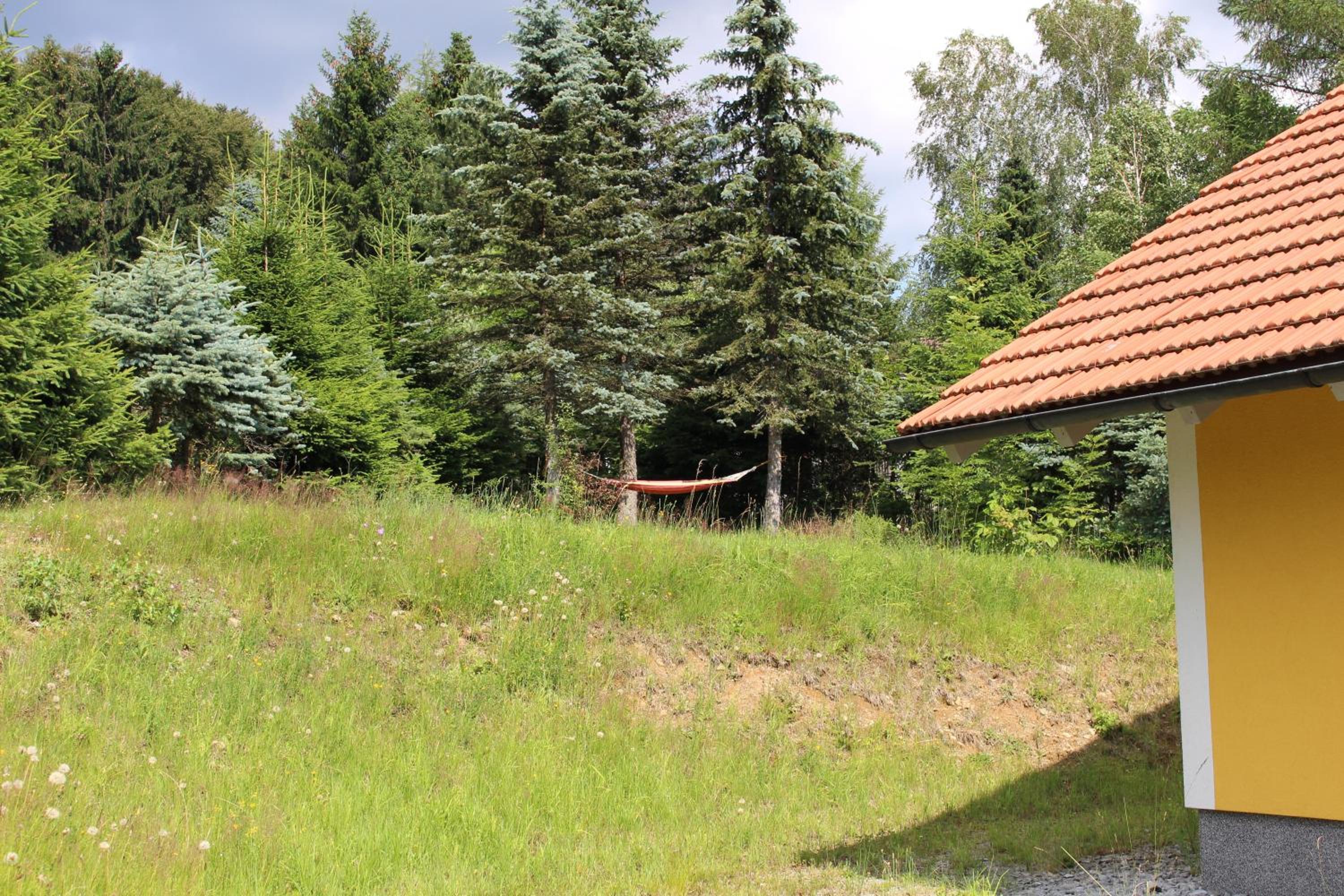 Photo 28