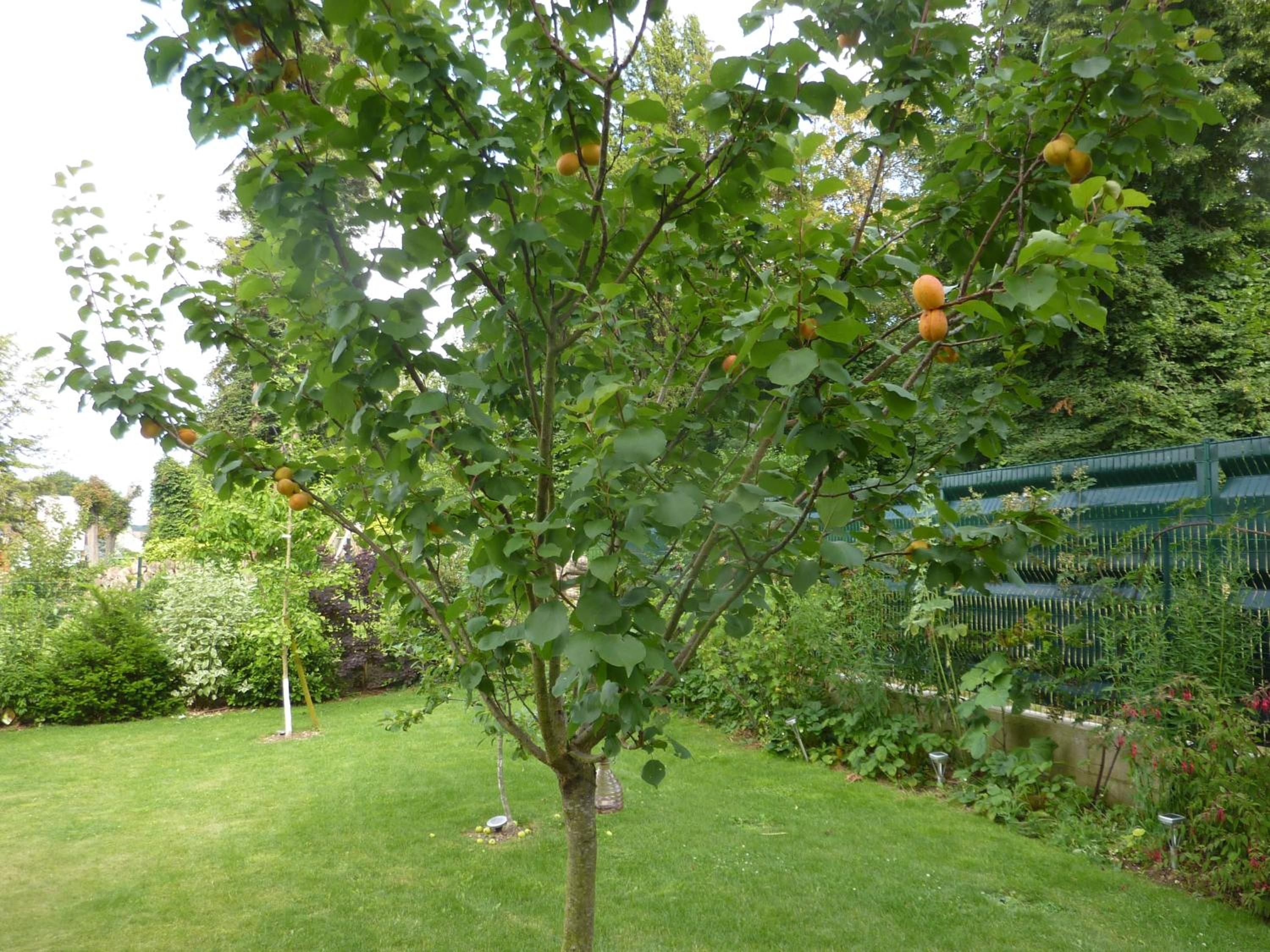 Photo 21