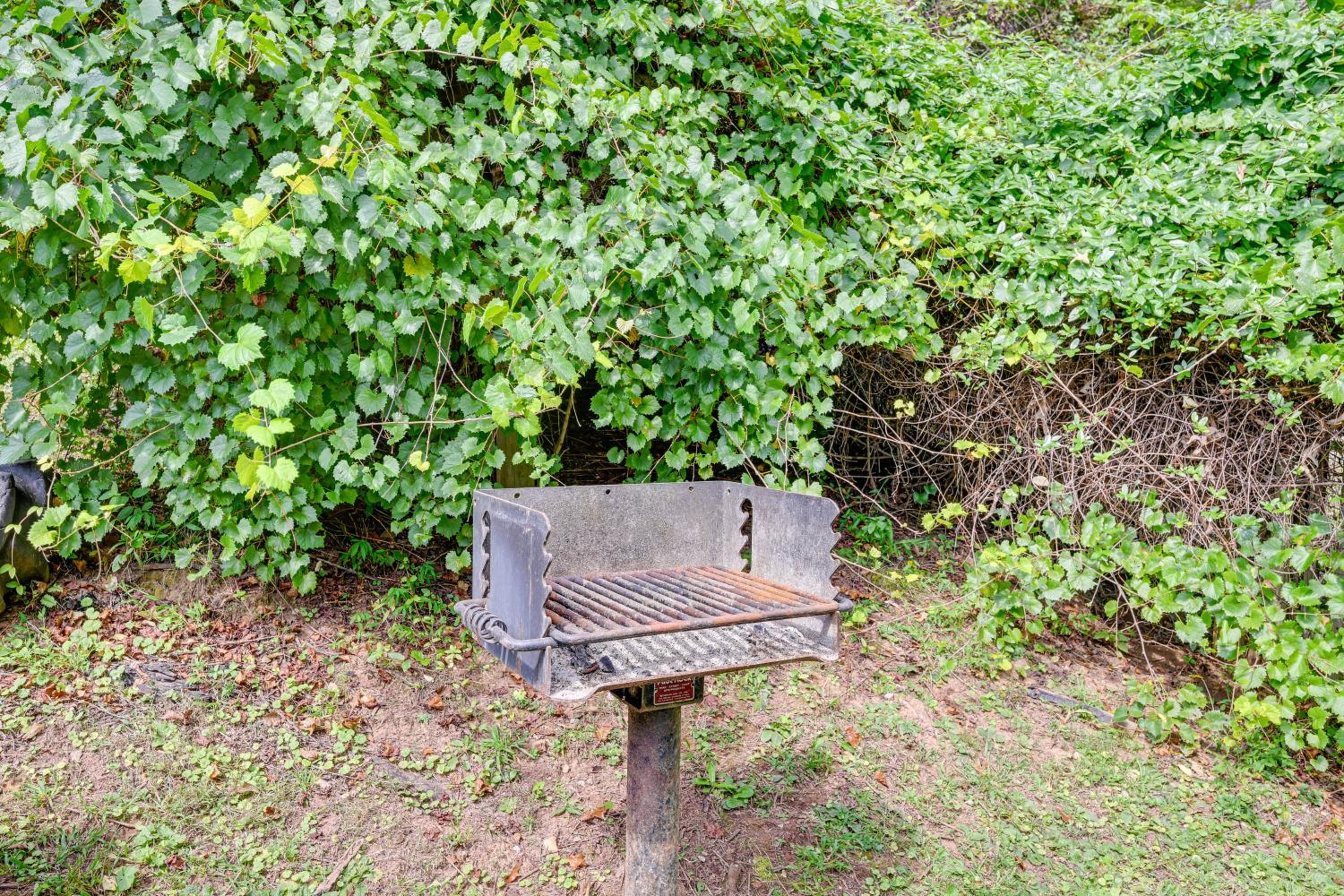 Mine for Gems and Chase Waterfalls Franklin Retreat
