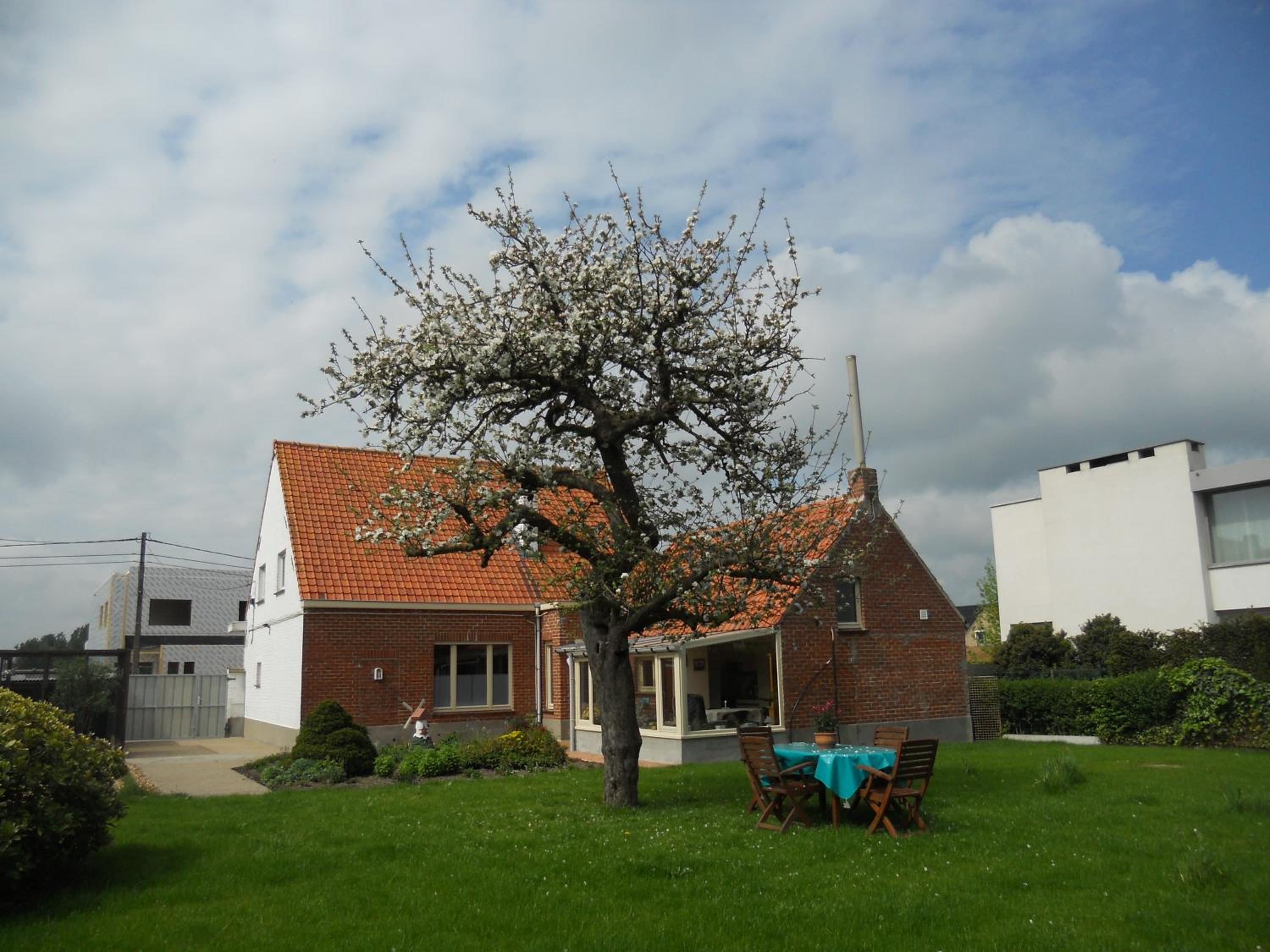 Het Margrietje