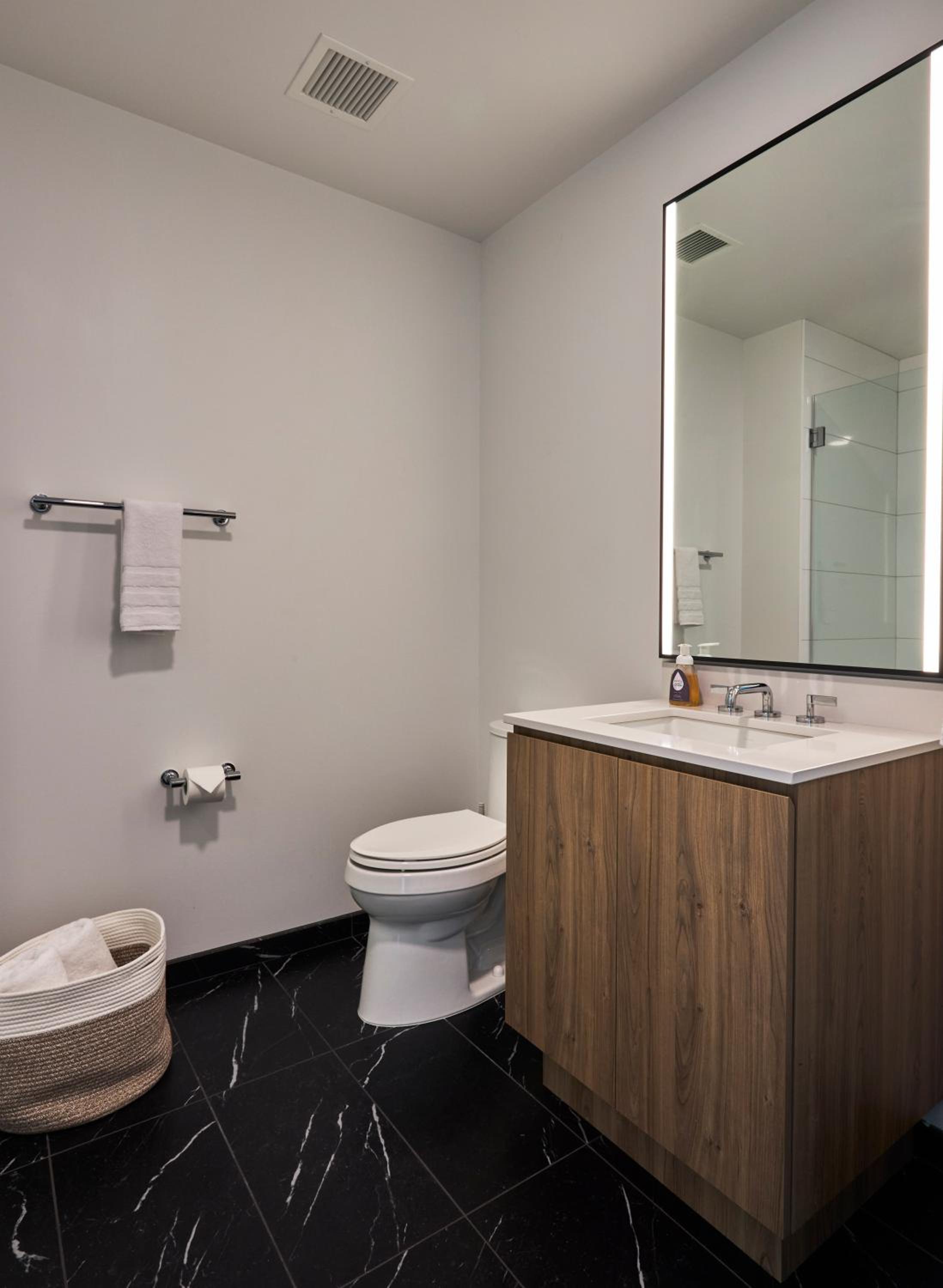 Lux Apts with Lake Views and Top Amenities