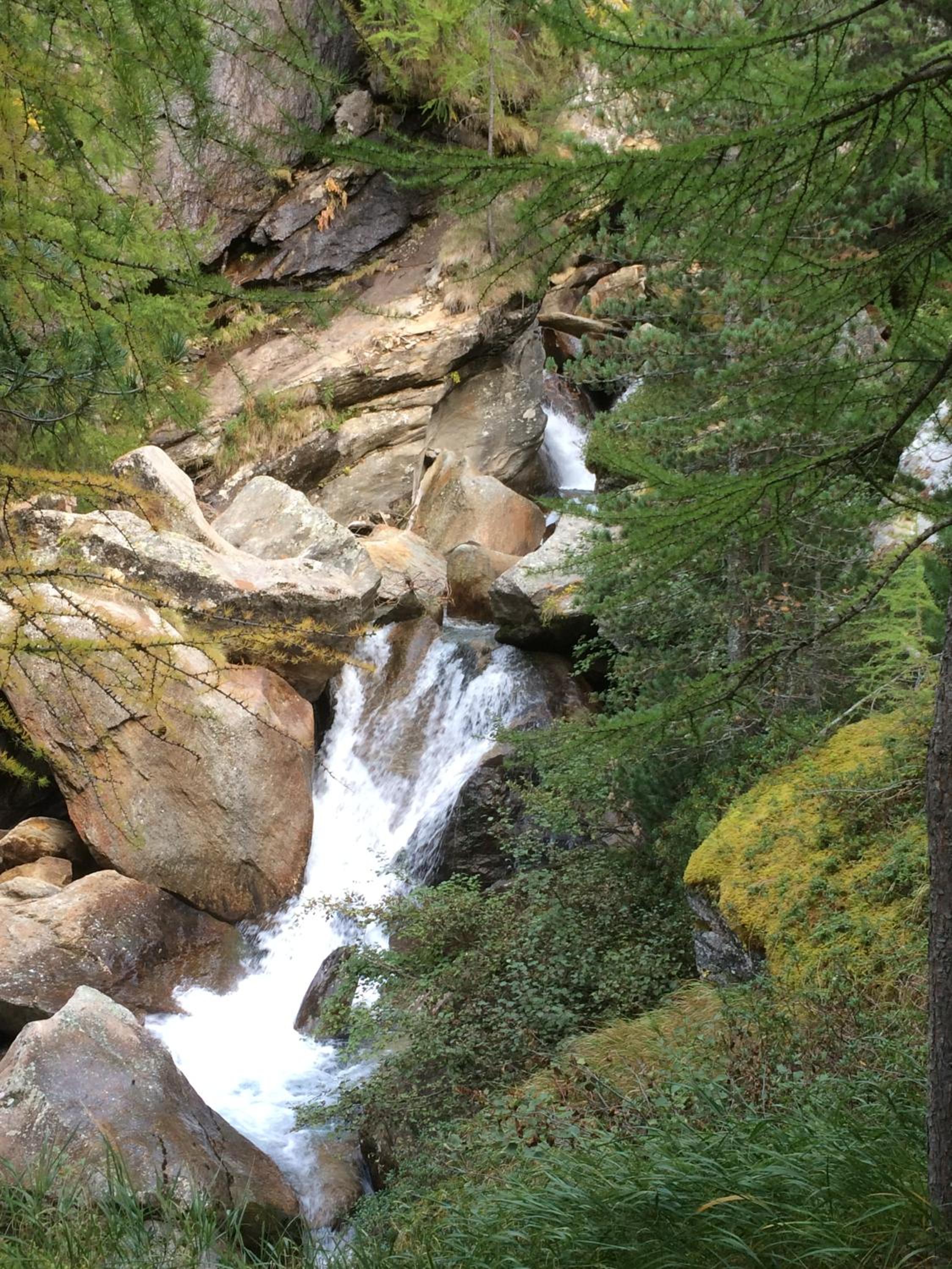 Photo 41