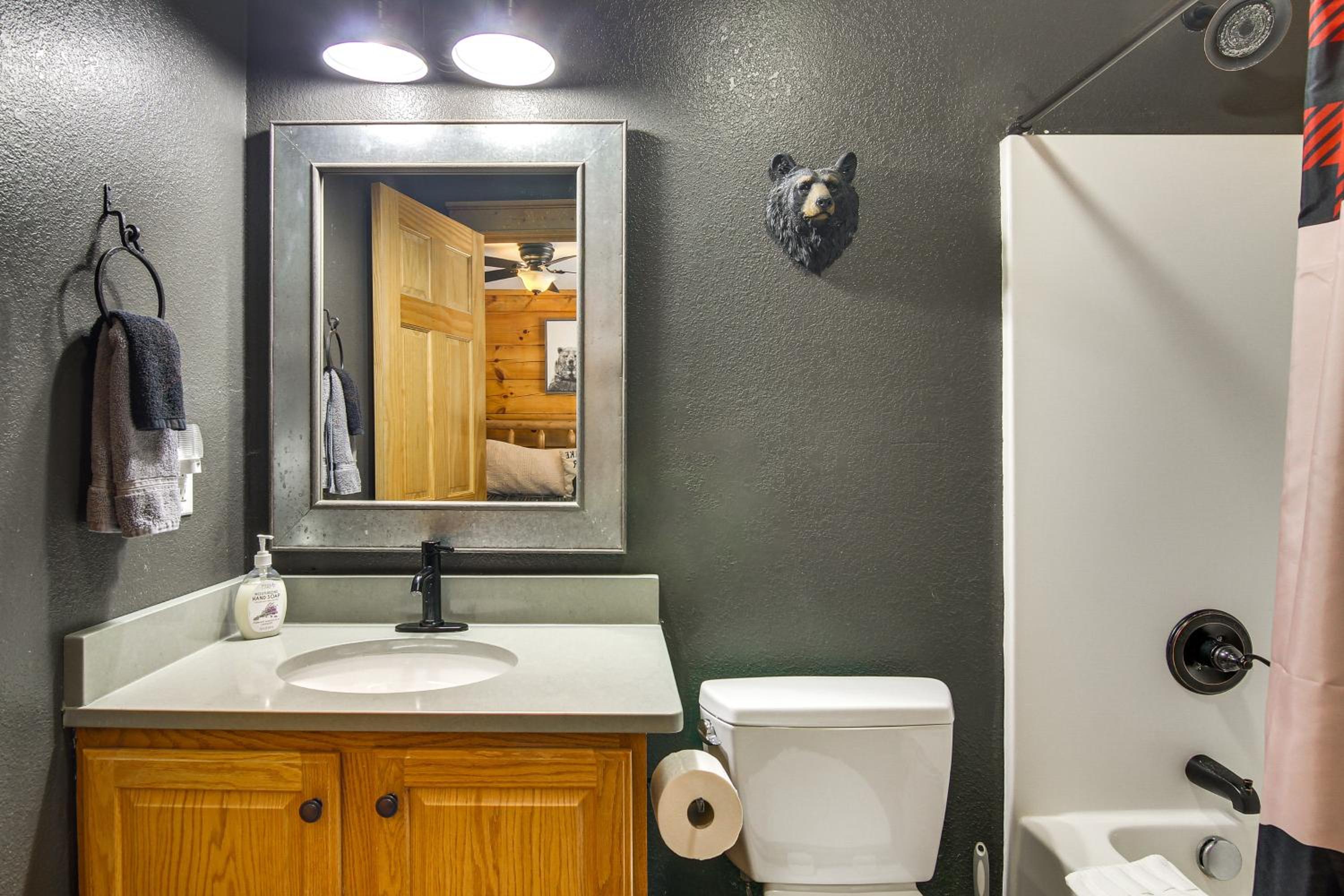 Ski and Hike Mars Hill Mountaintop Cabin with Views