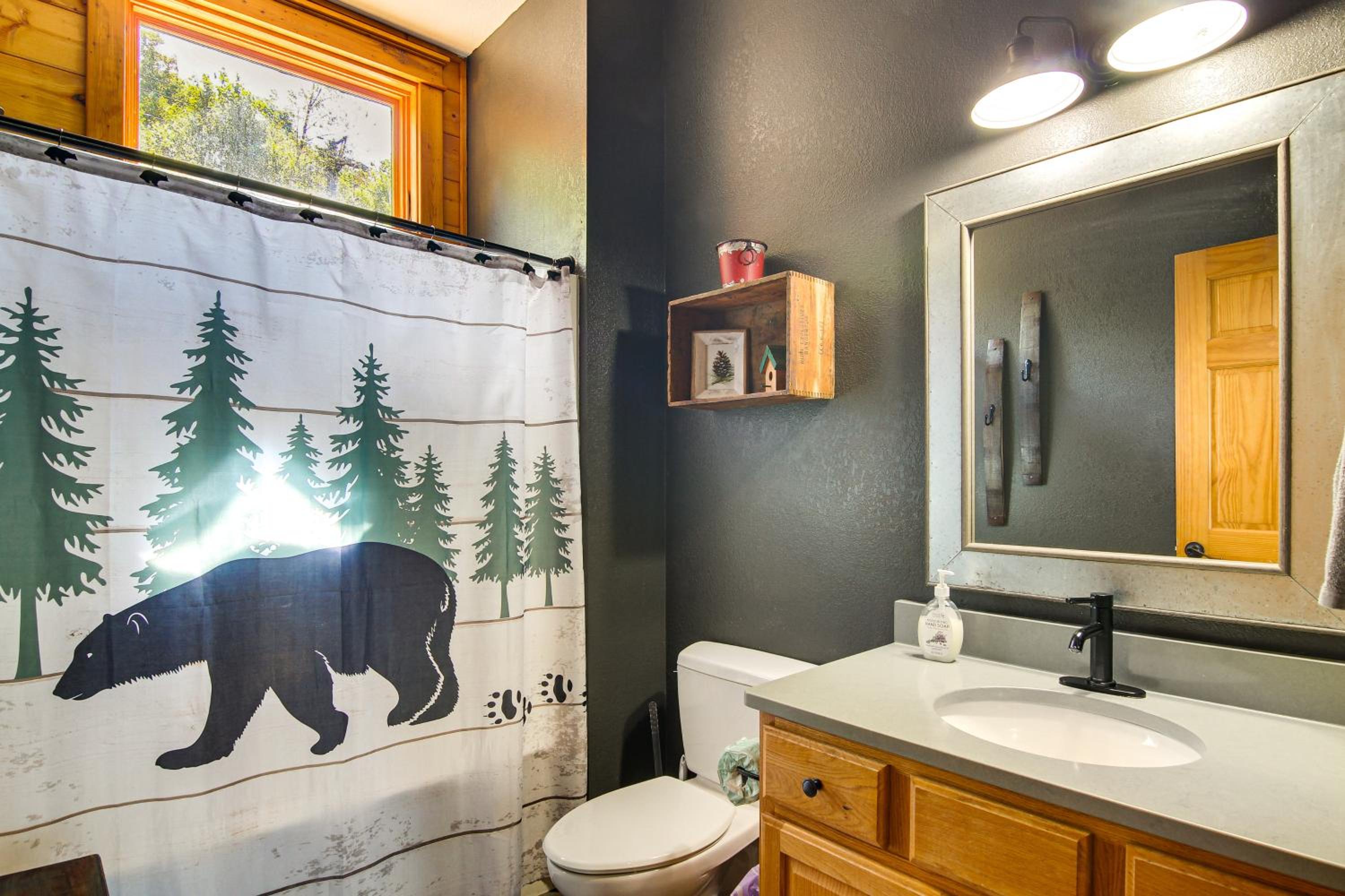 Ski and Hike Mars Hill Mountaintop Cabin with Views