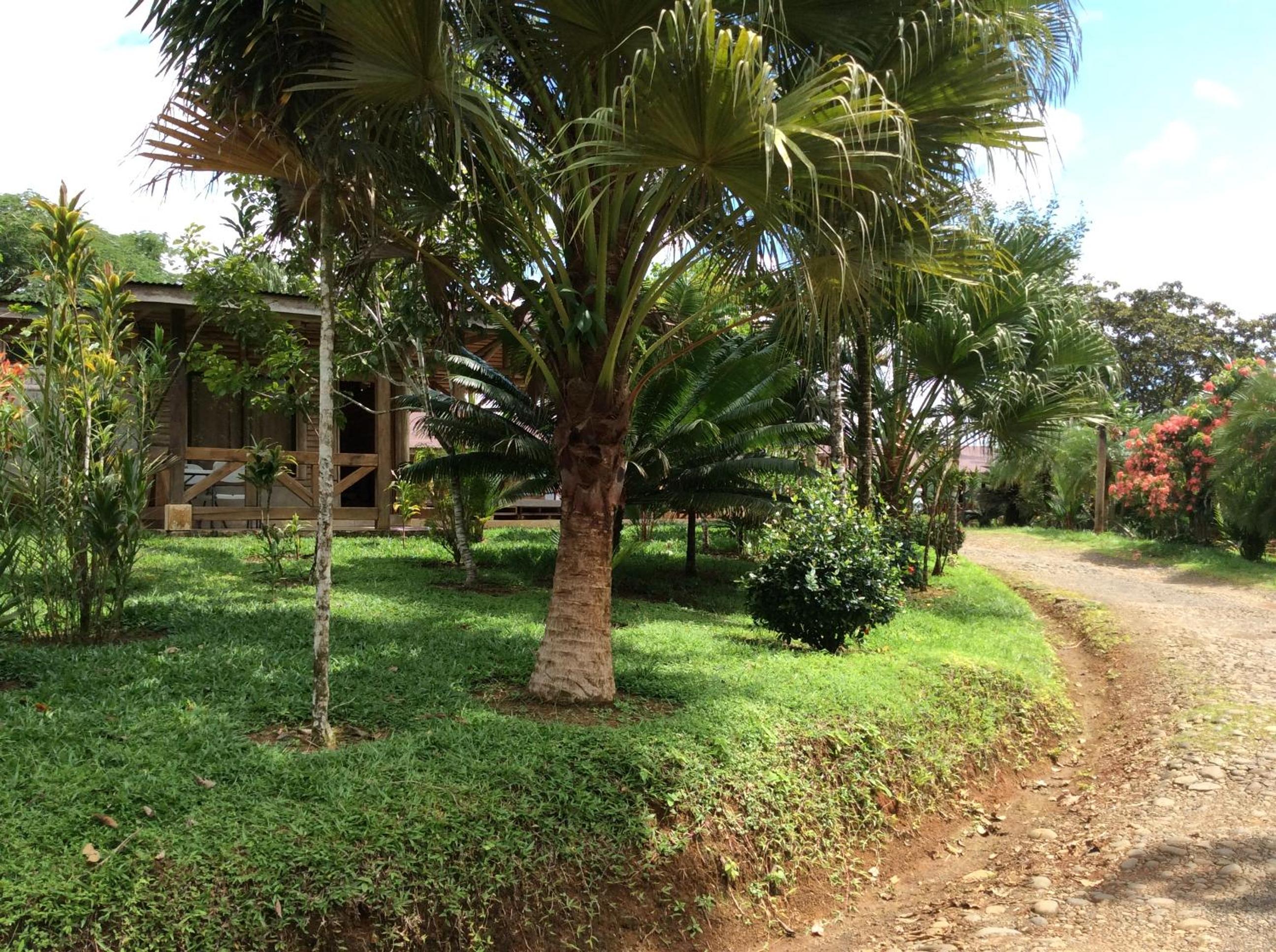 Hotel Pedacito de Cielo