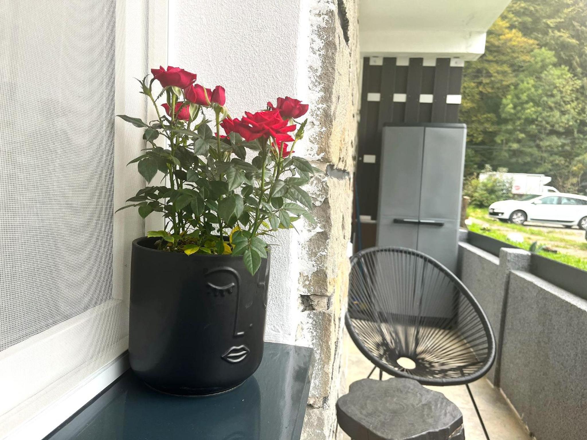 Deer House - Fireplace 1BR near Sinaia Plaza