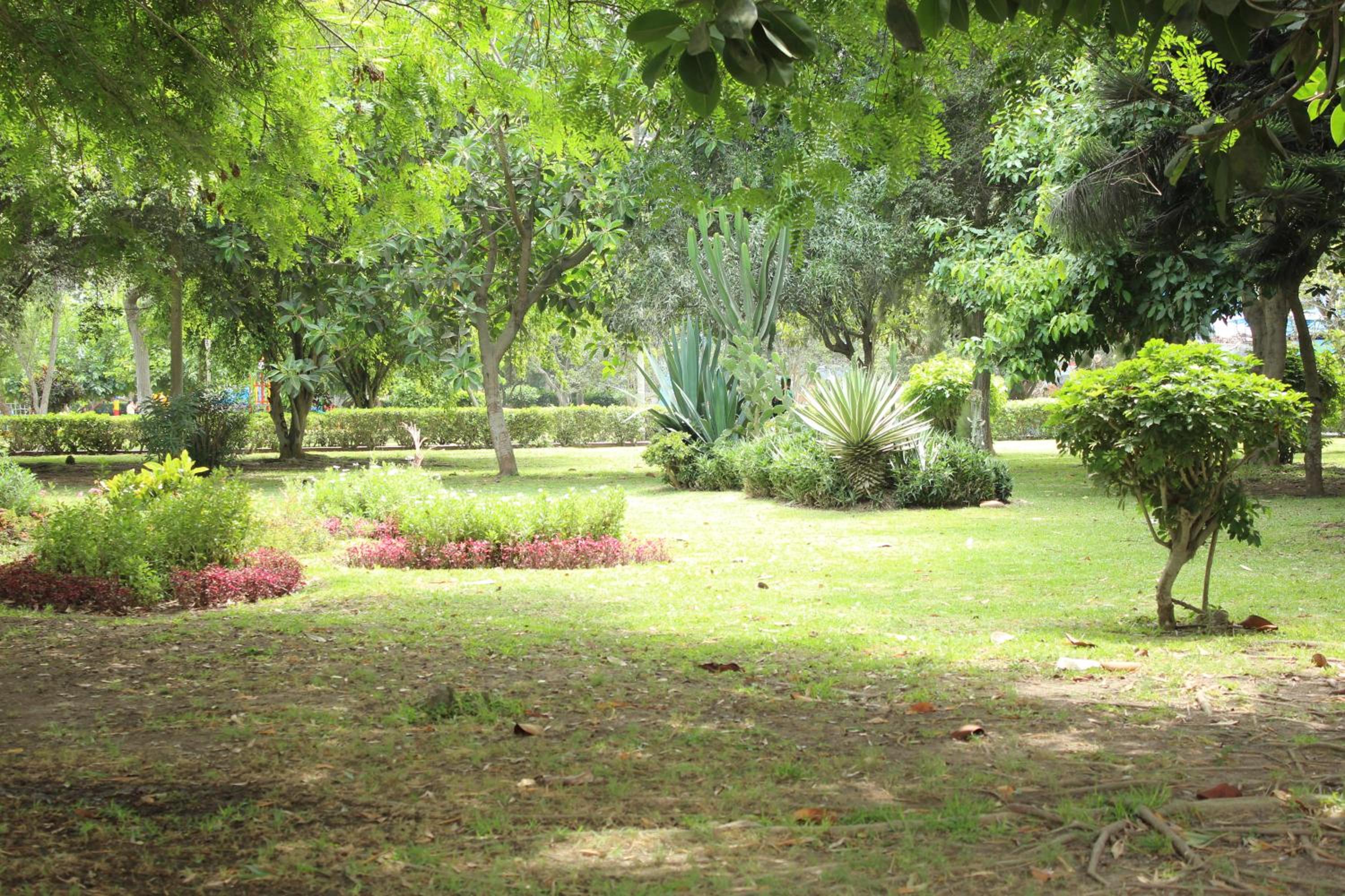 Photo 46