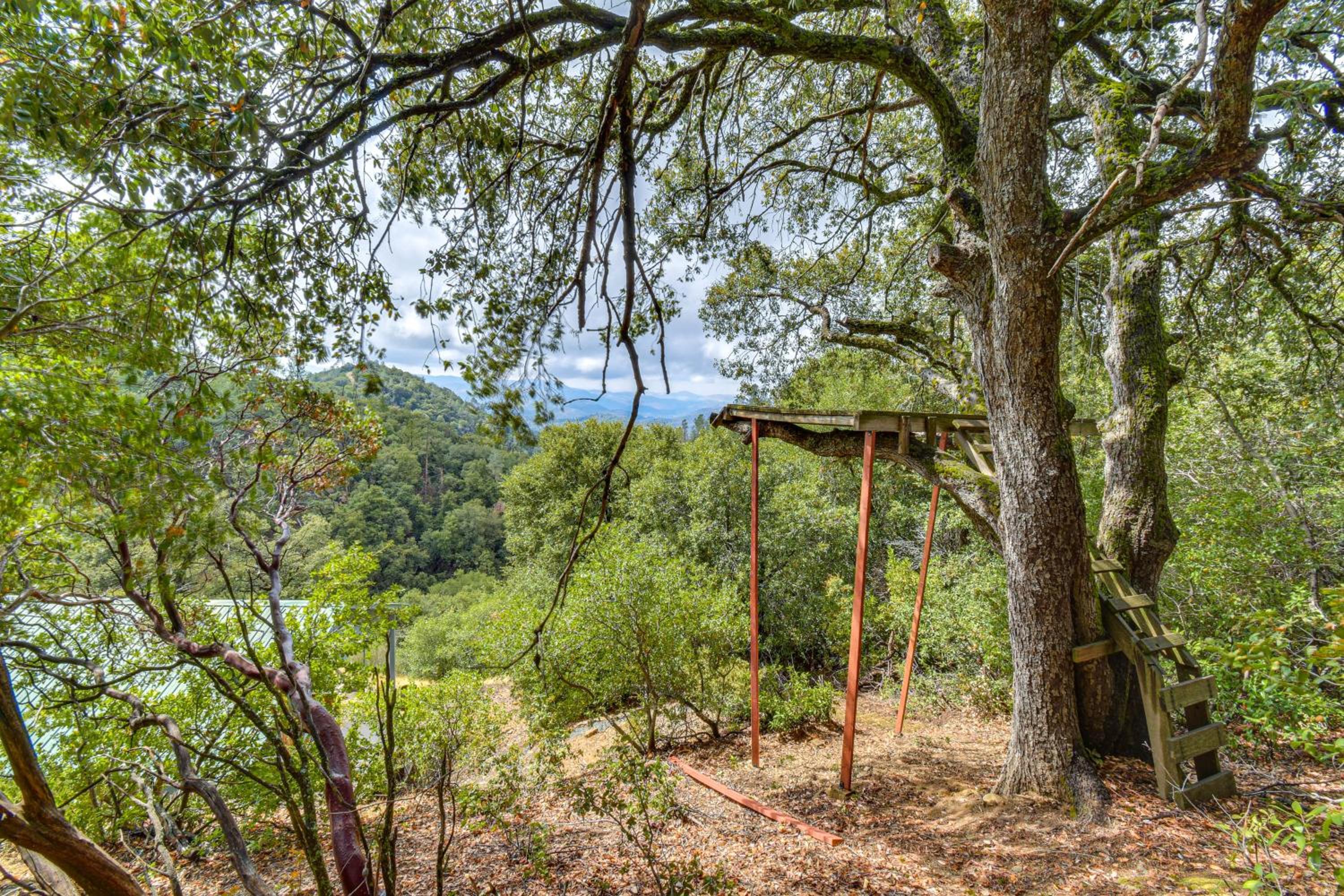 Mtn-View Coulter Escape with Rustic Tree Lookout