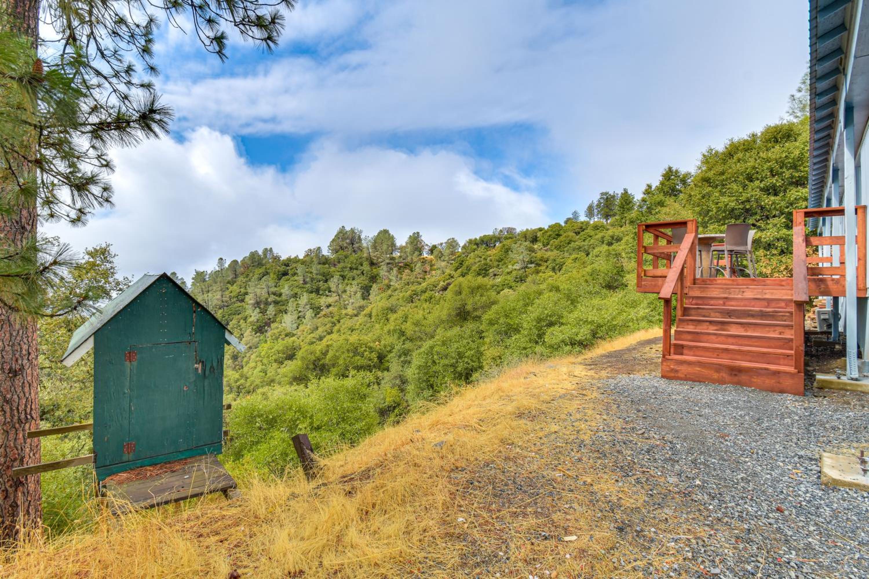 Mtn-View Coulter Escape with Rustic Tree Lookout