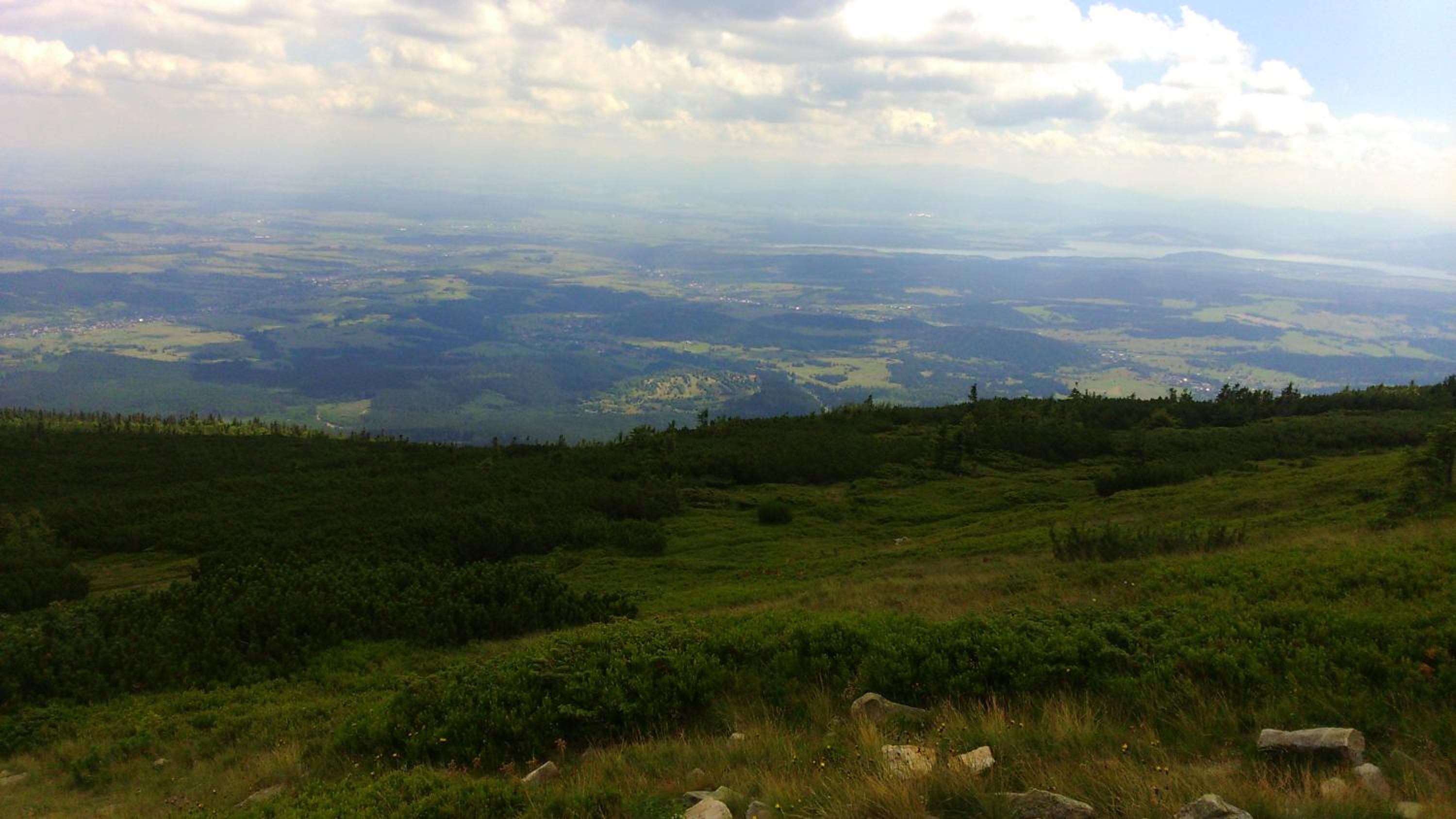 Photo 42