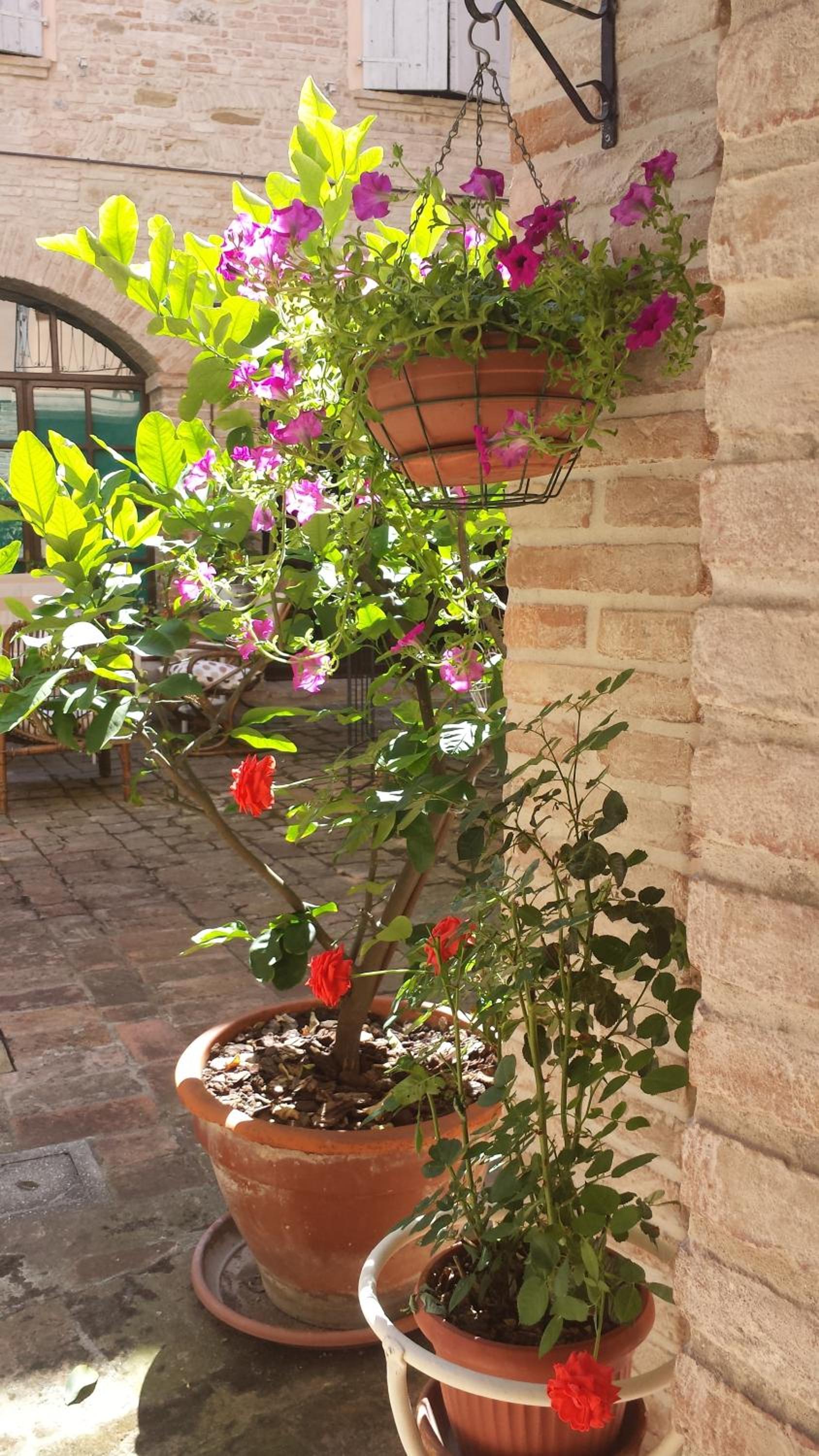 Relais B&B Corte Dei Turchi