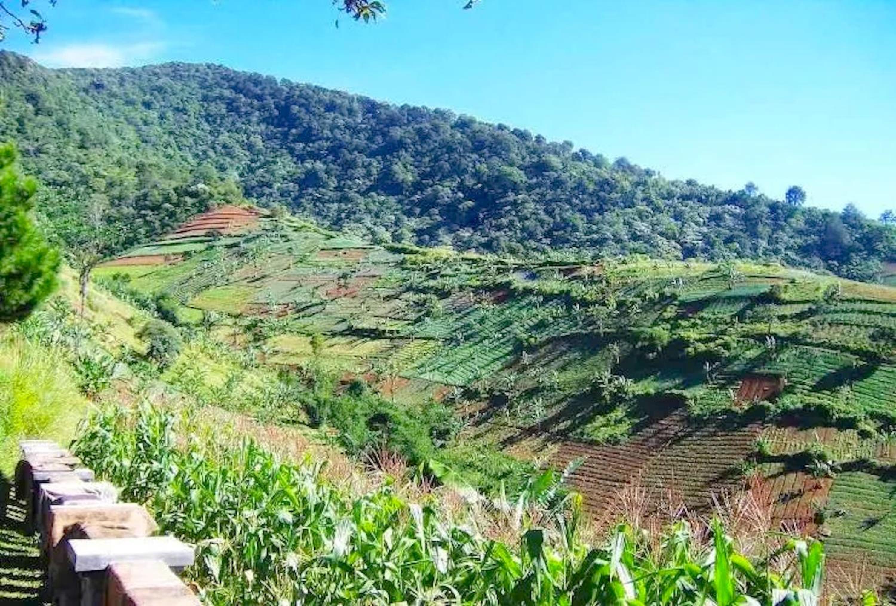 Talita Mountain Resort