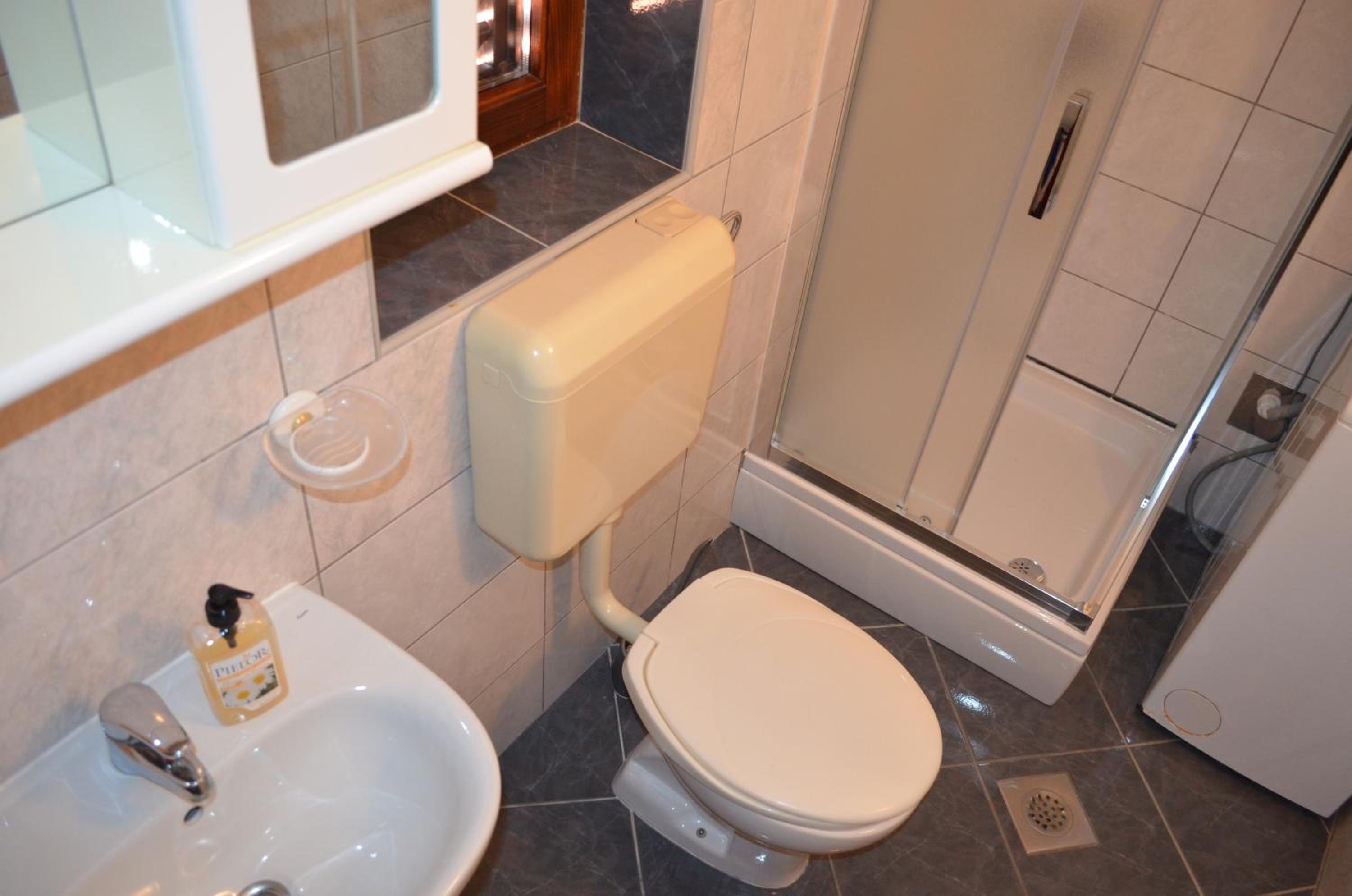 Apartment Borna