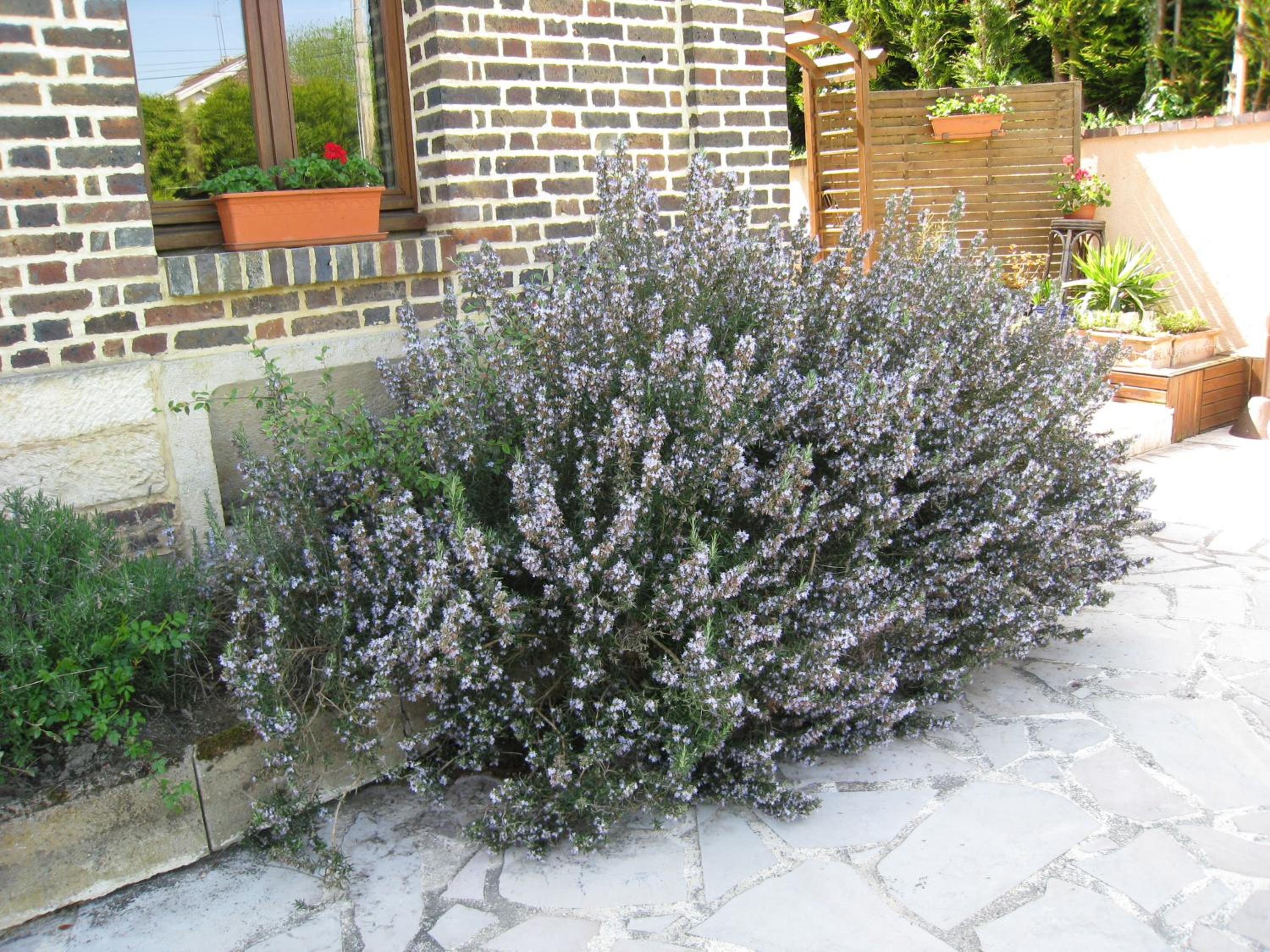 Photo 48
