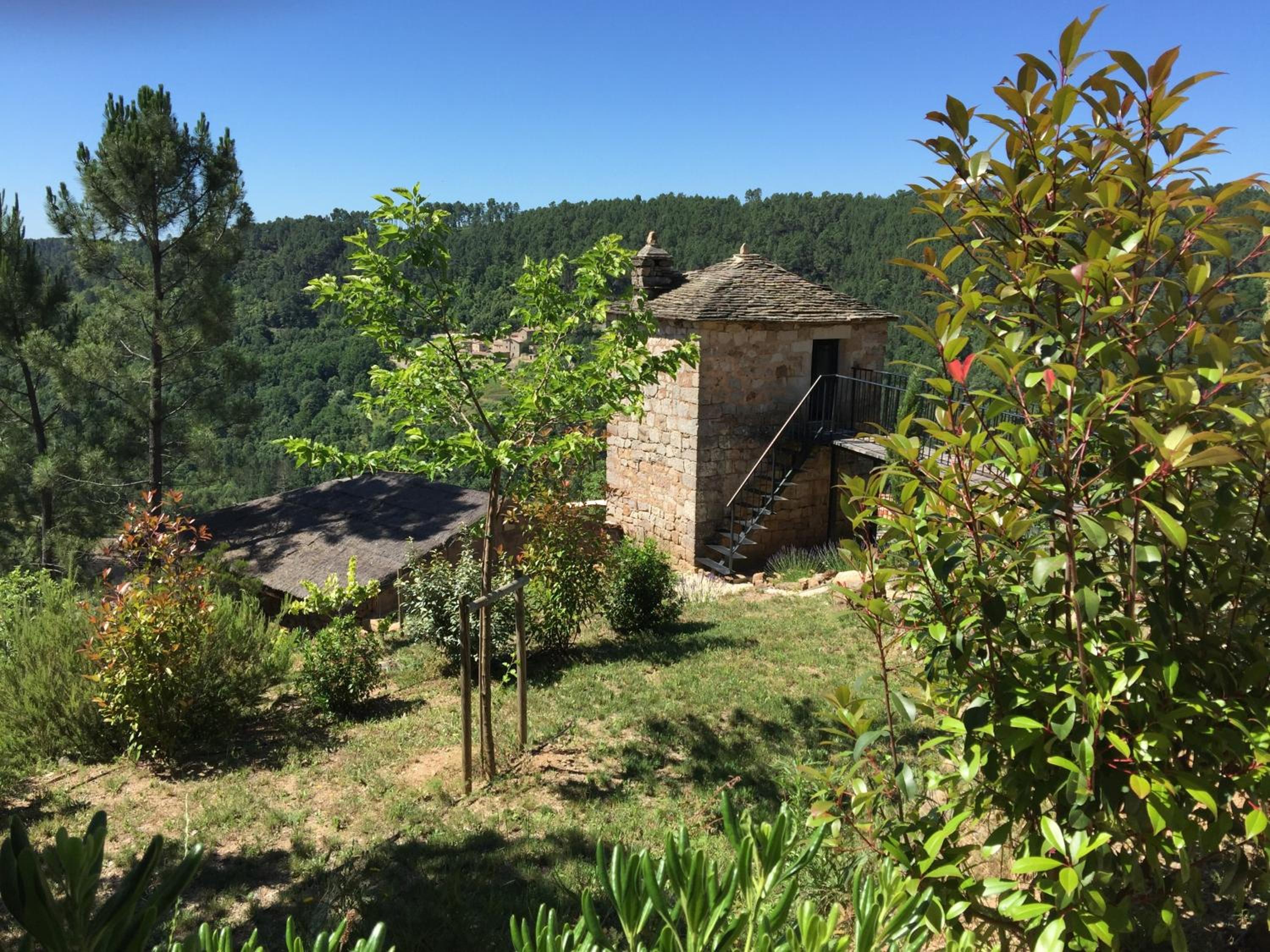 garden