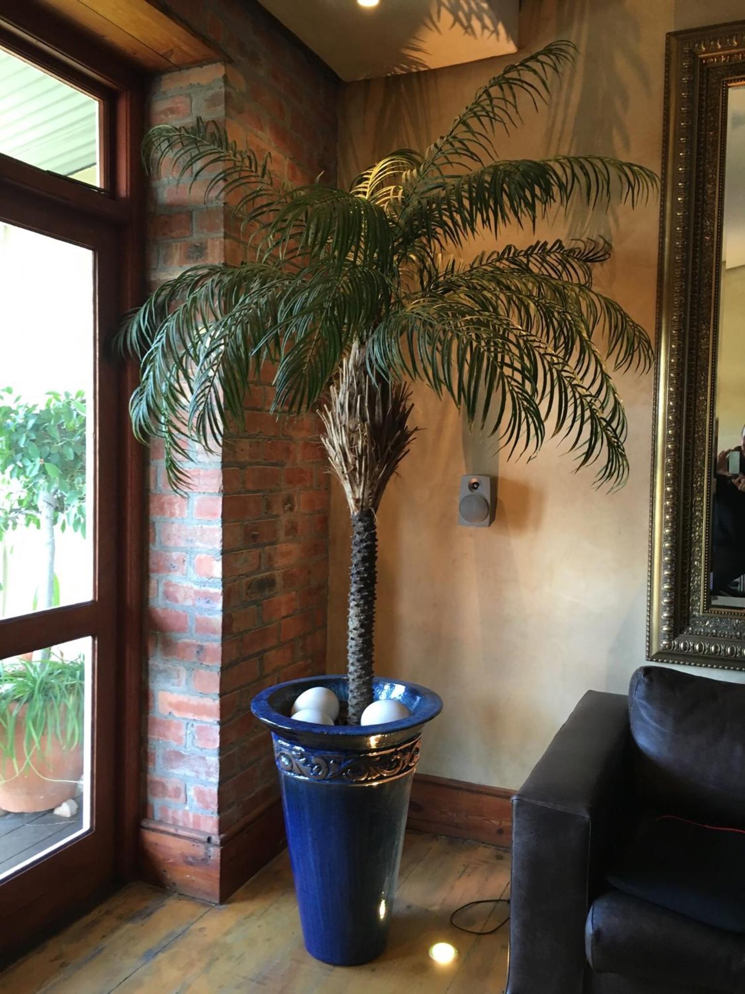 Gordons Guesthouse
