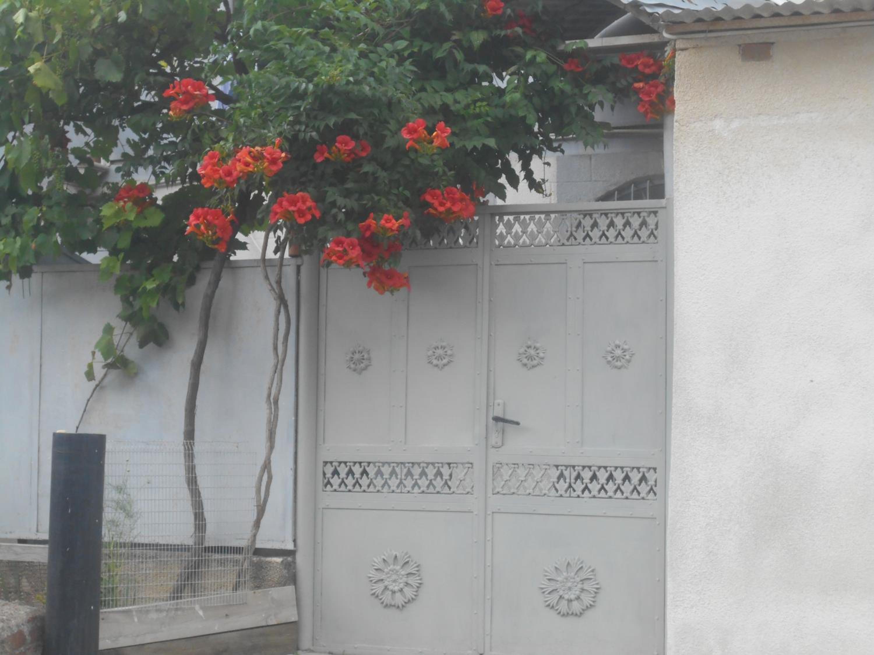 Guest House Rusudan