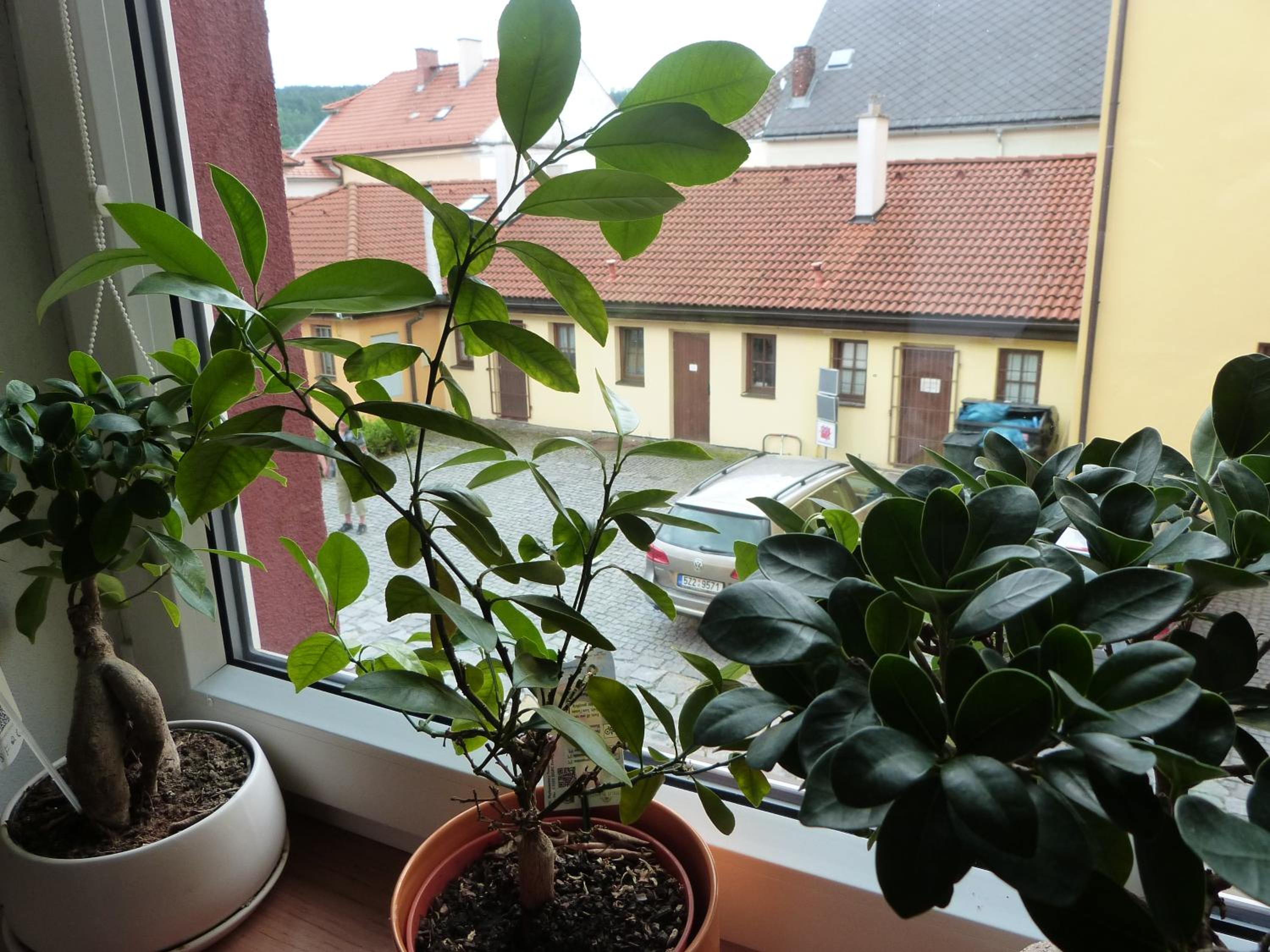 Photo 19