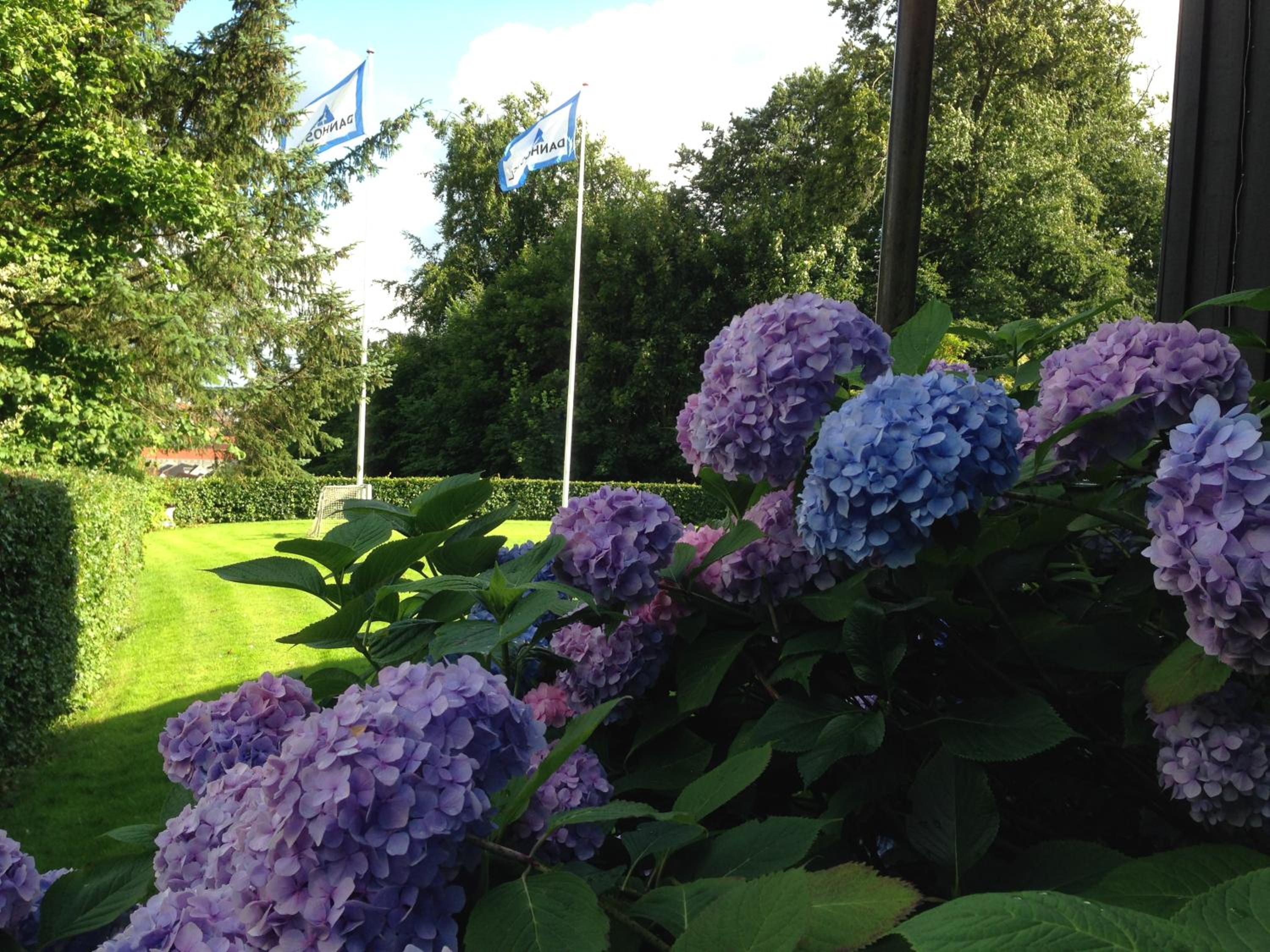 Kolding Vacations - Danhostel Kolding - Property Image 5