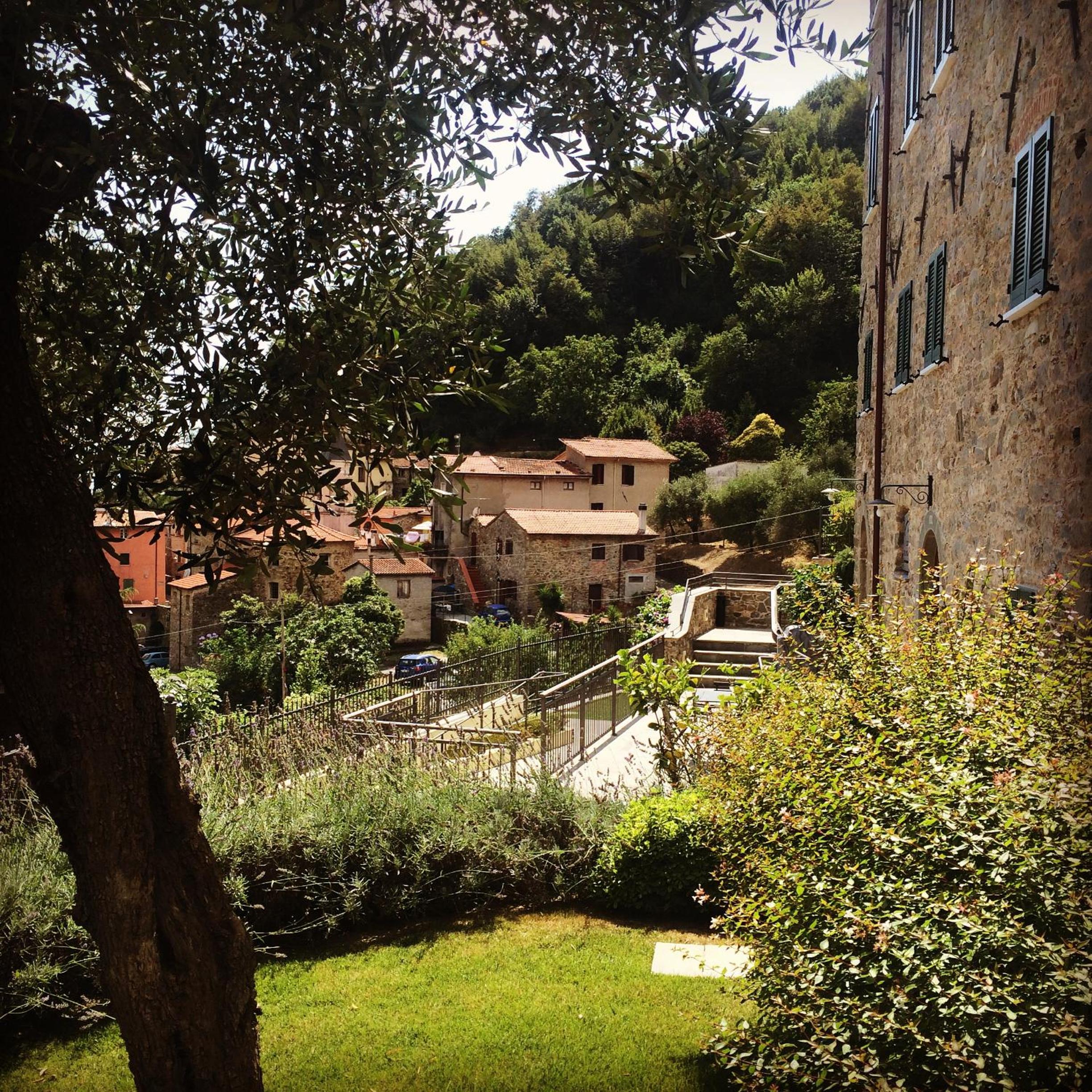 Photo 15