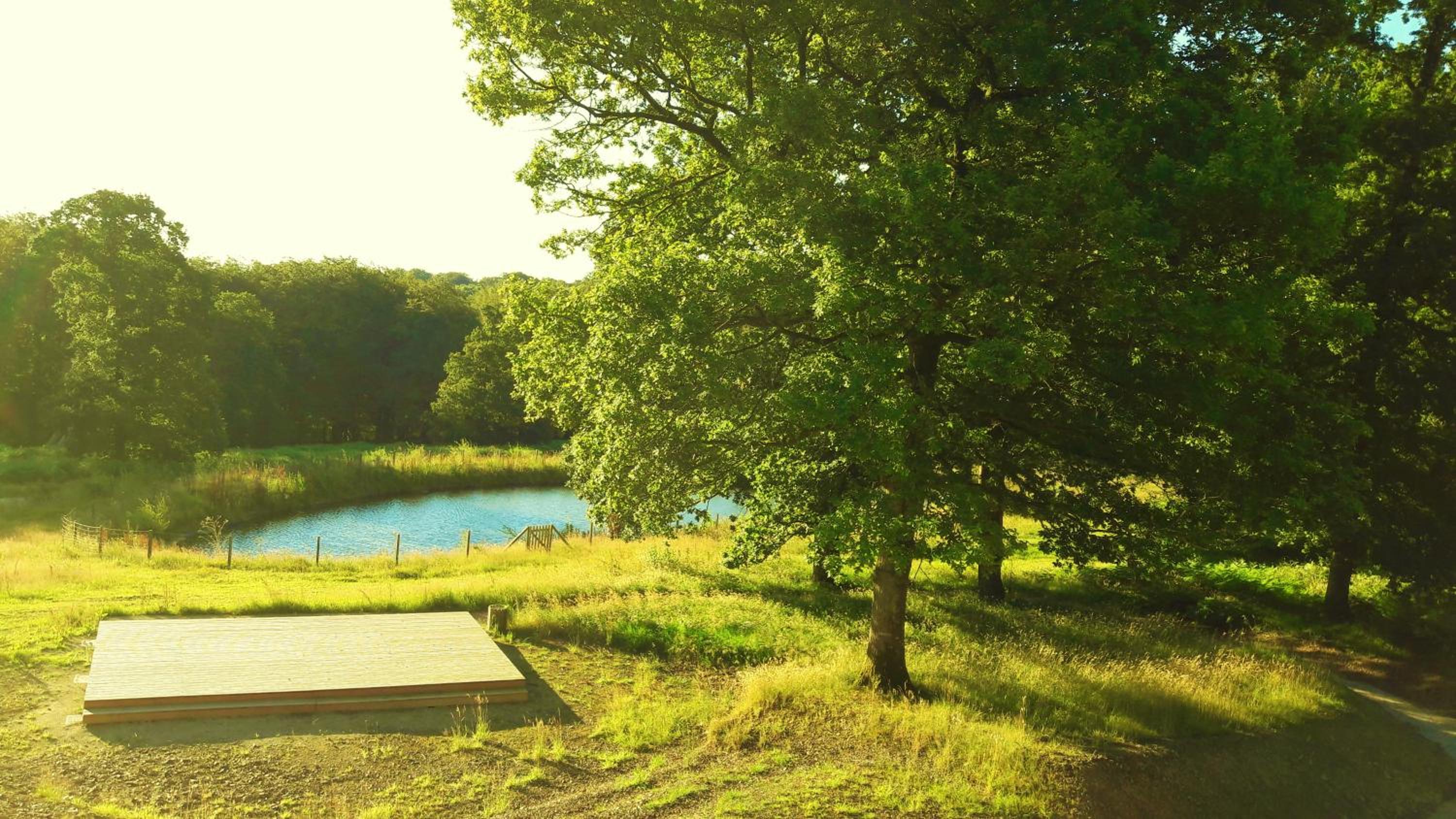 L'étape en forêt