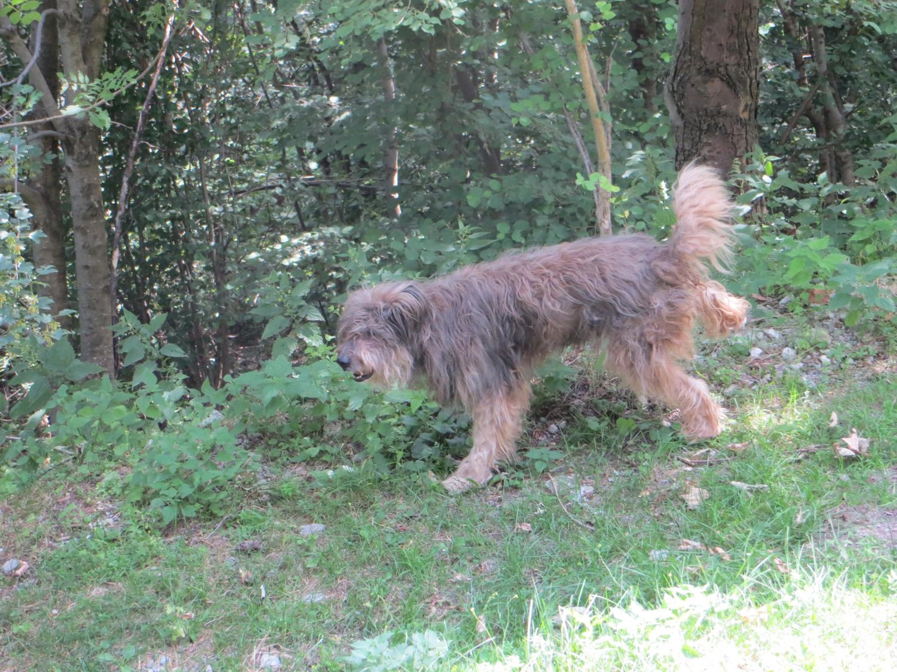 Baita Bondella photo 2