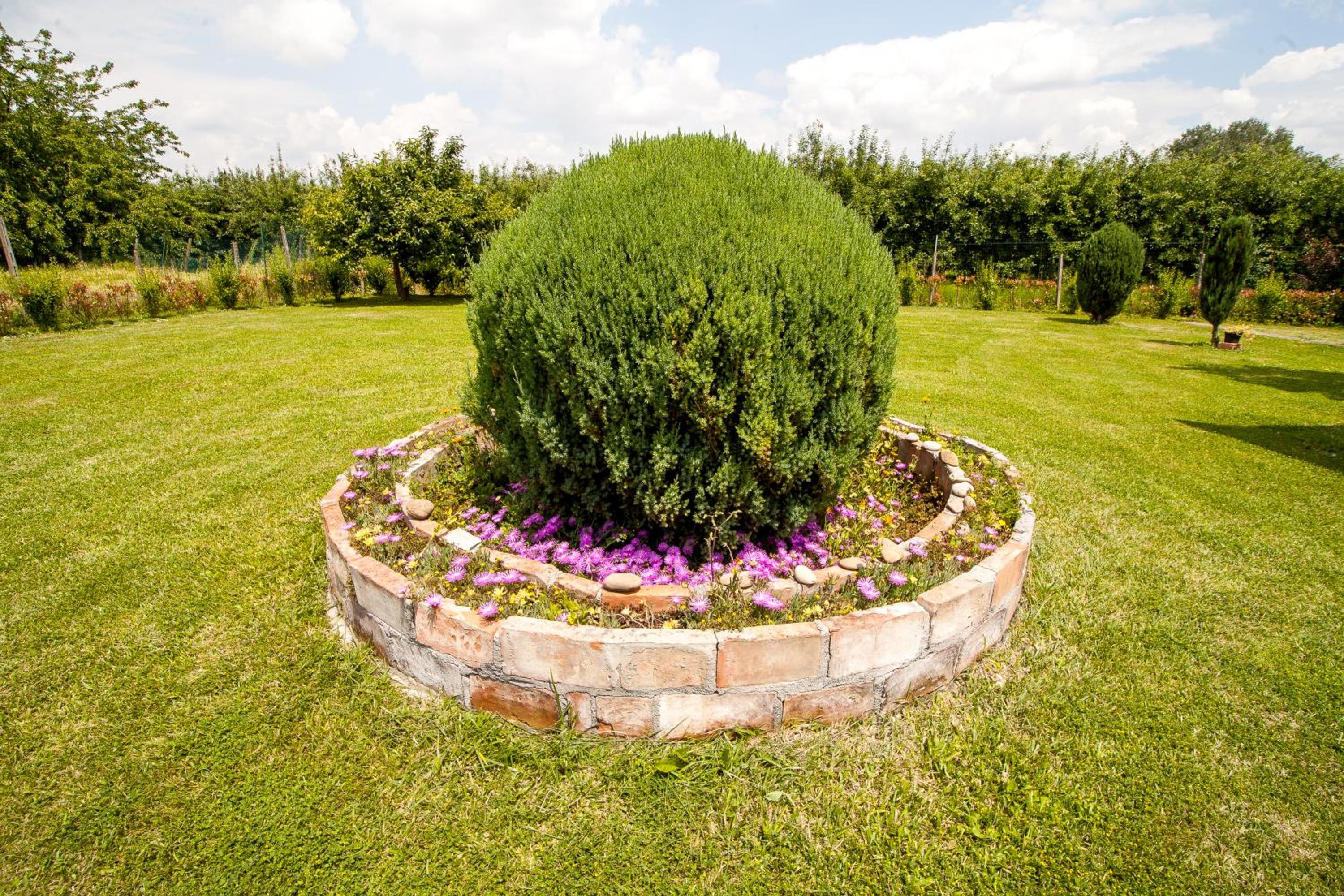 Photo 23