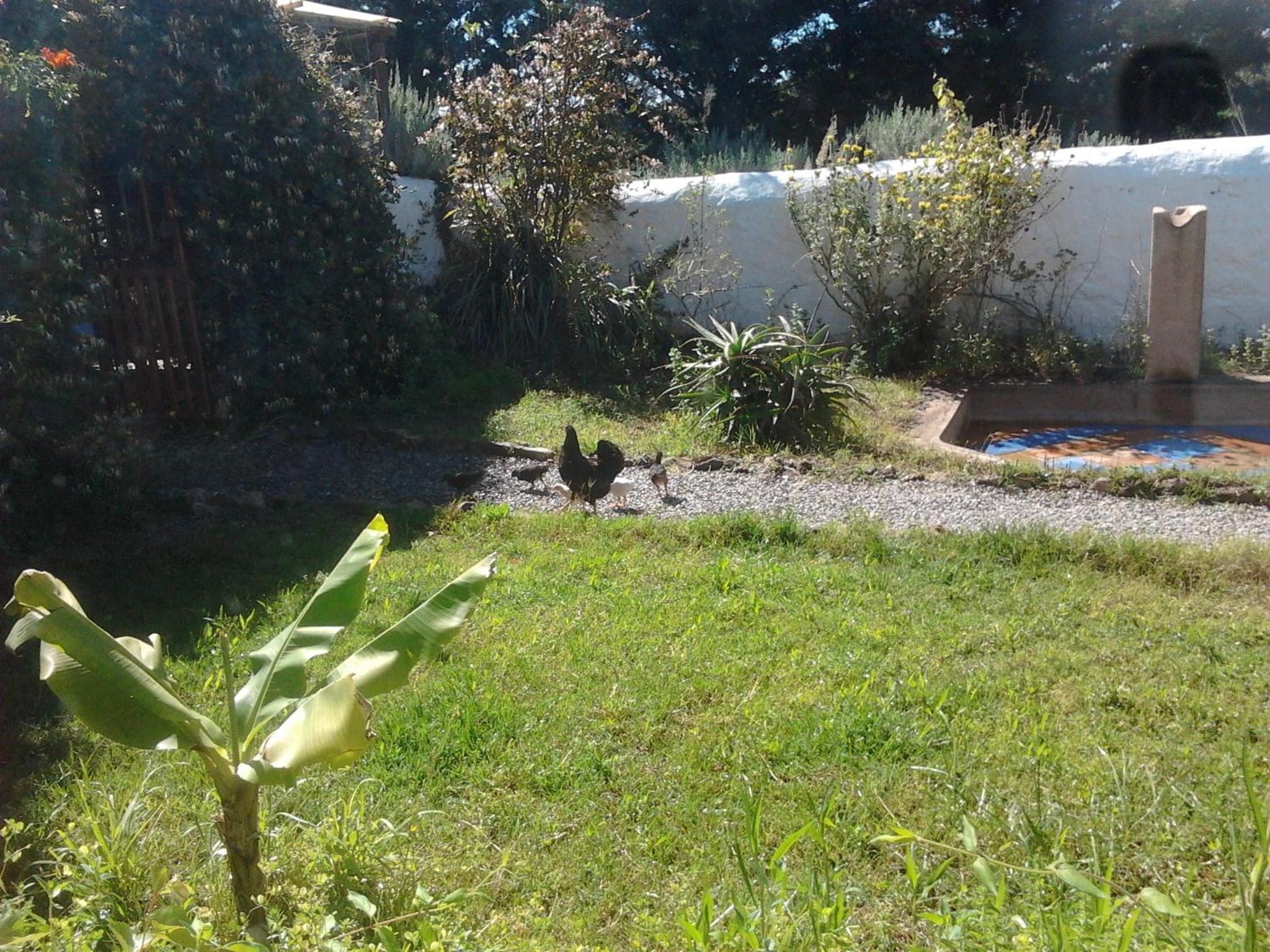 Quinta da Fornalha - Santuario Agroecologico