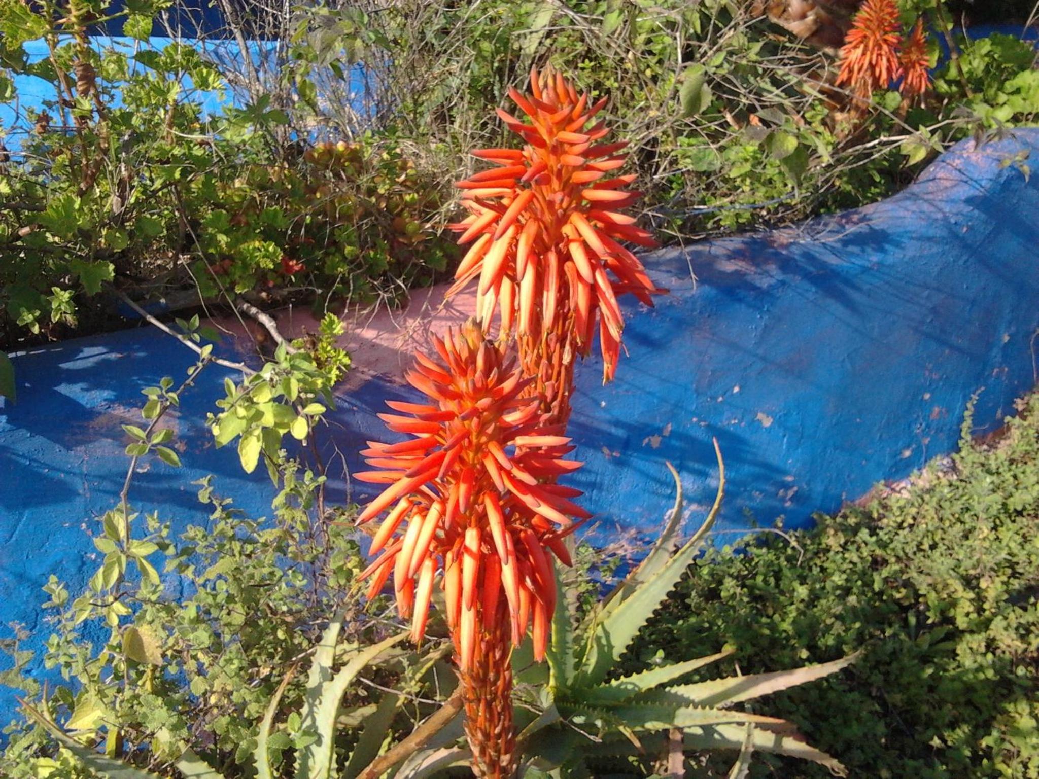Quinta da Fornalha - Santuario Agroecologico