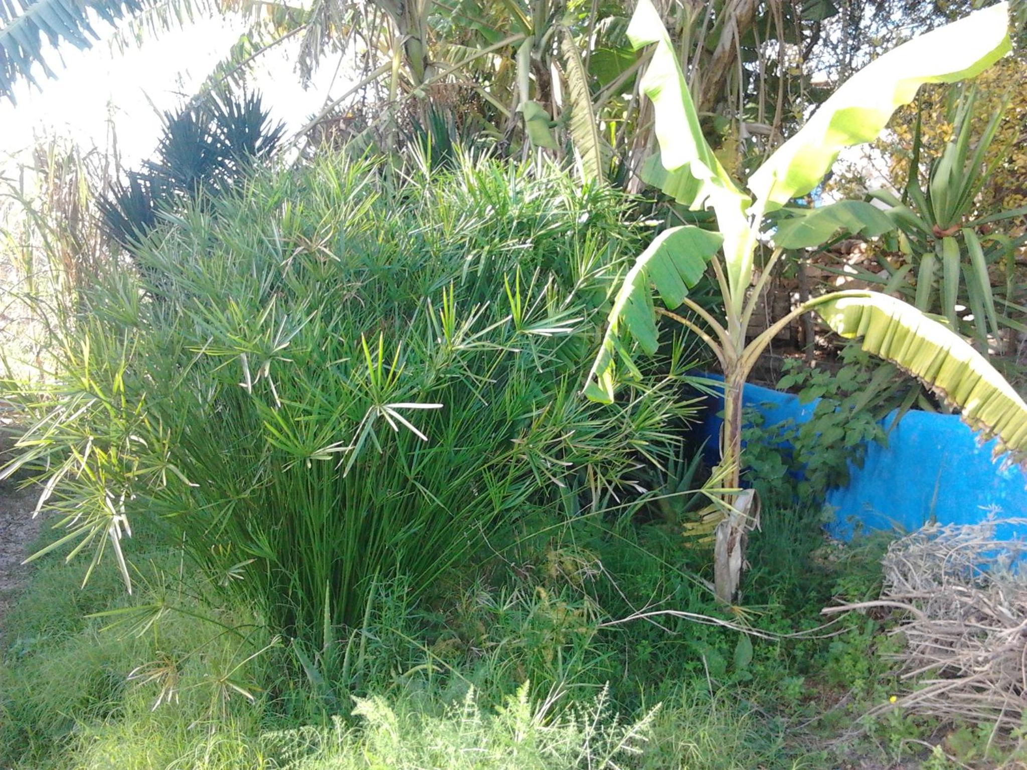 Quinta da Fornalha - Santuario Agroecologico