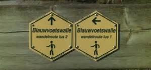 B&B 't Withuis