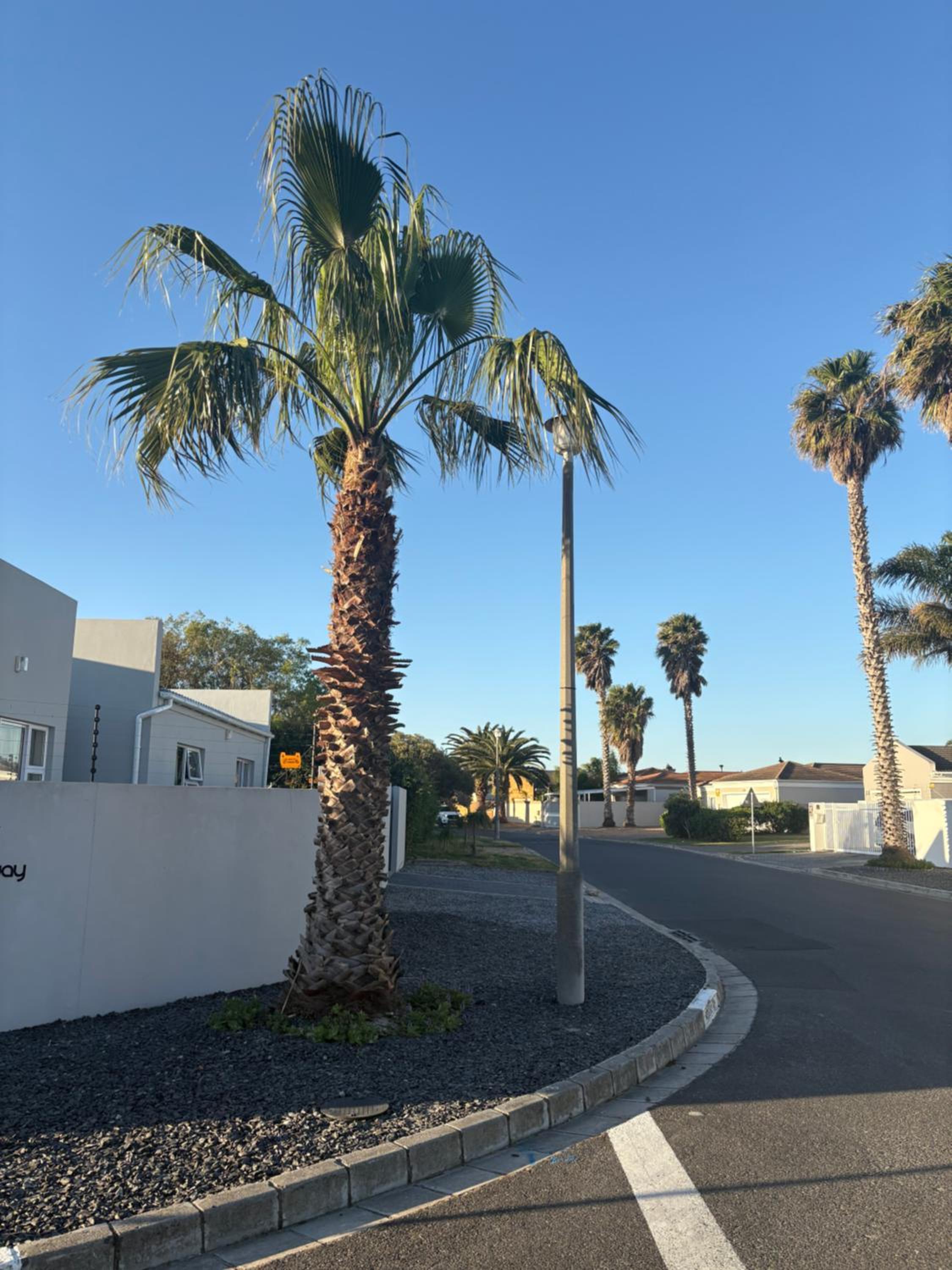 Immaculate,Alttrative &Modern 6 minutes away from the beach