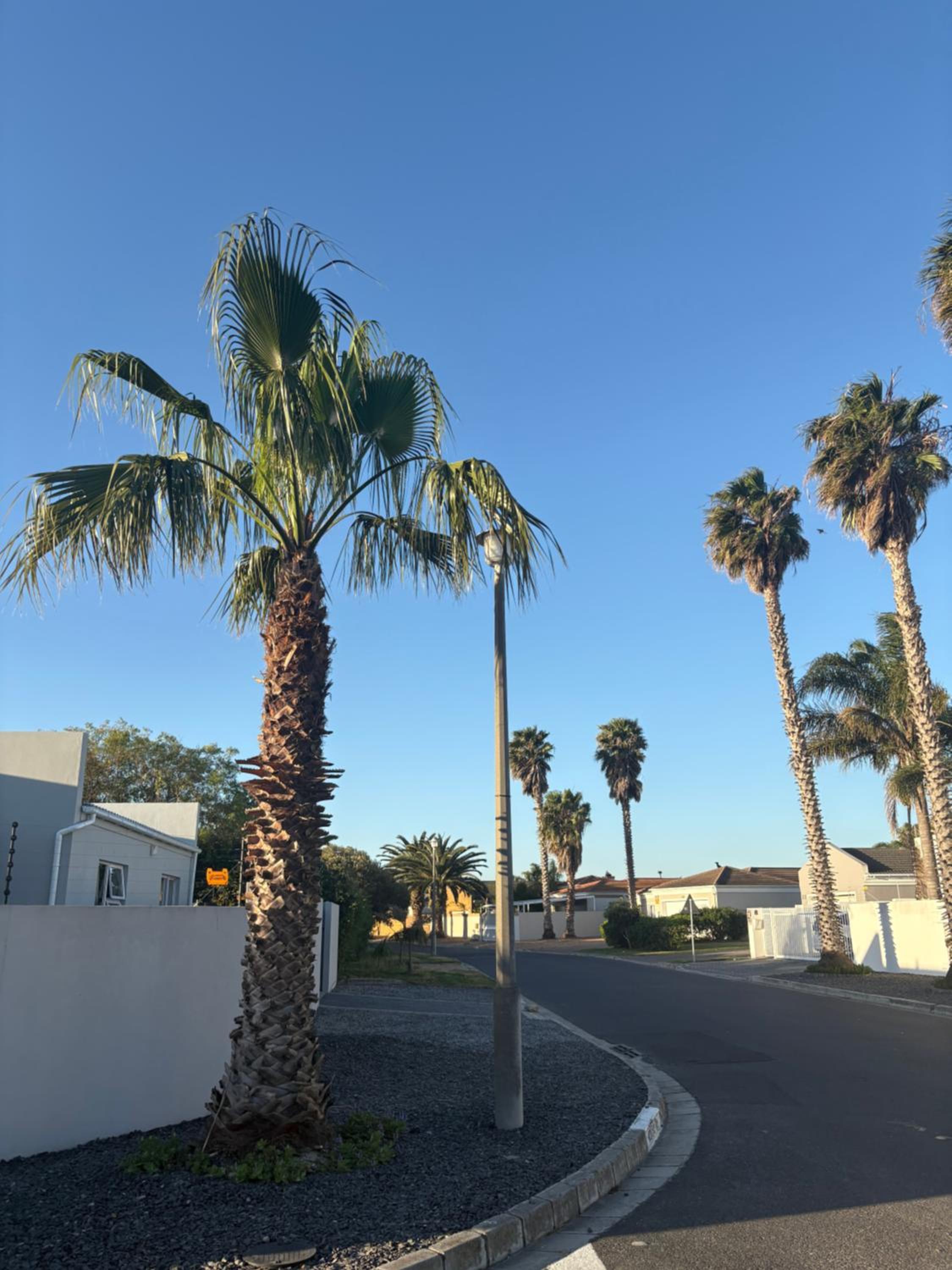 Immaculate,Alttrative &Modern 6 minutes away from the beach