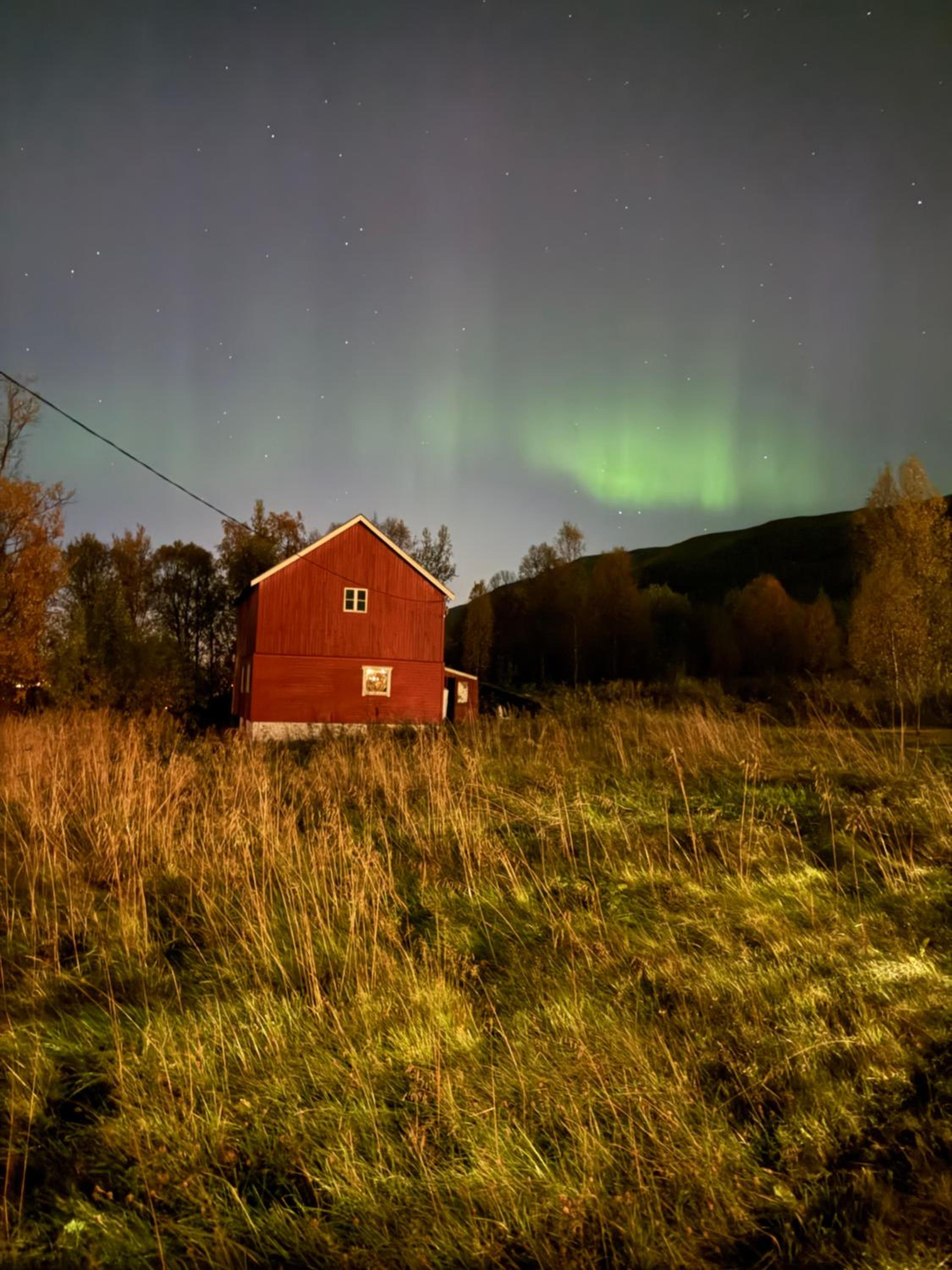 Sigridtunet - 4 bedroom Arctic experiences by the sea, with great opportunities to see the Northern lights dancing just for you!