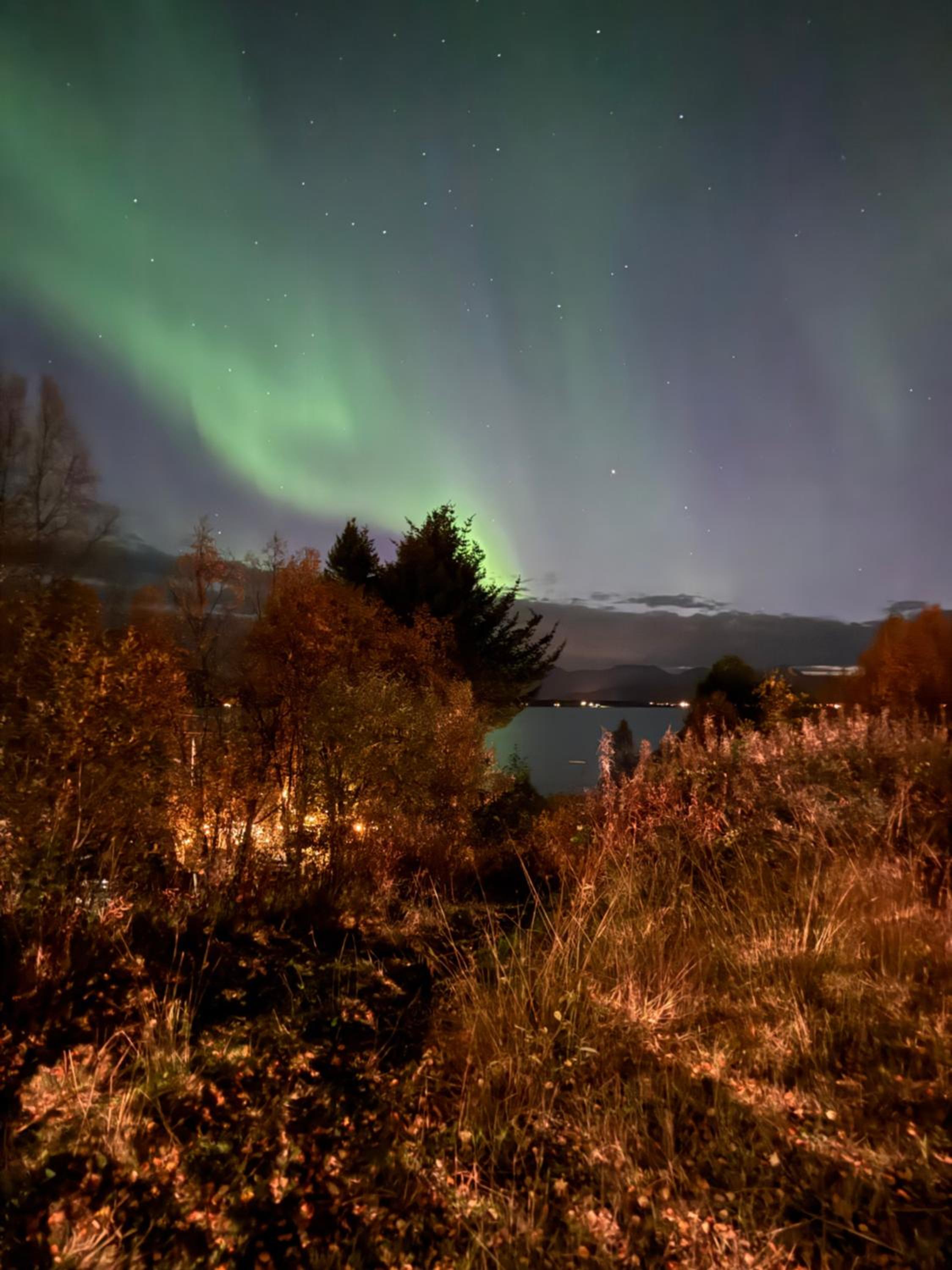 Sigridtunet - 4 bedroom Arctic experiences by the sea, with great opportunities to see the Northern lights dancing just for you!