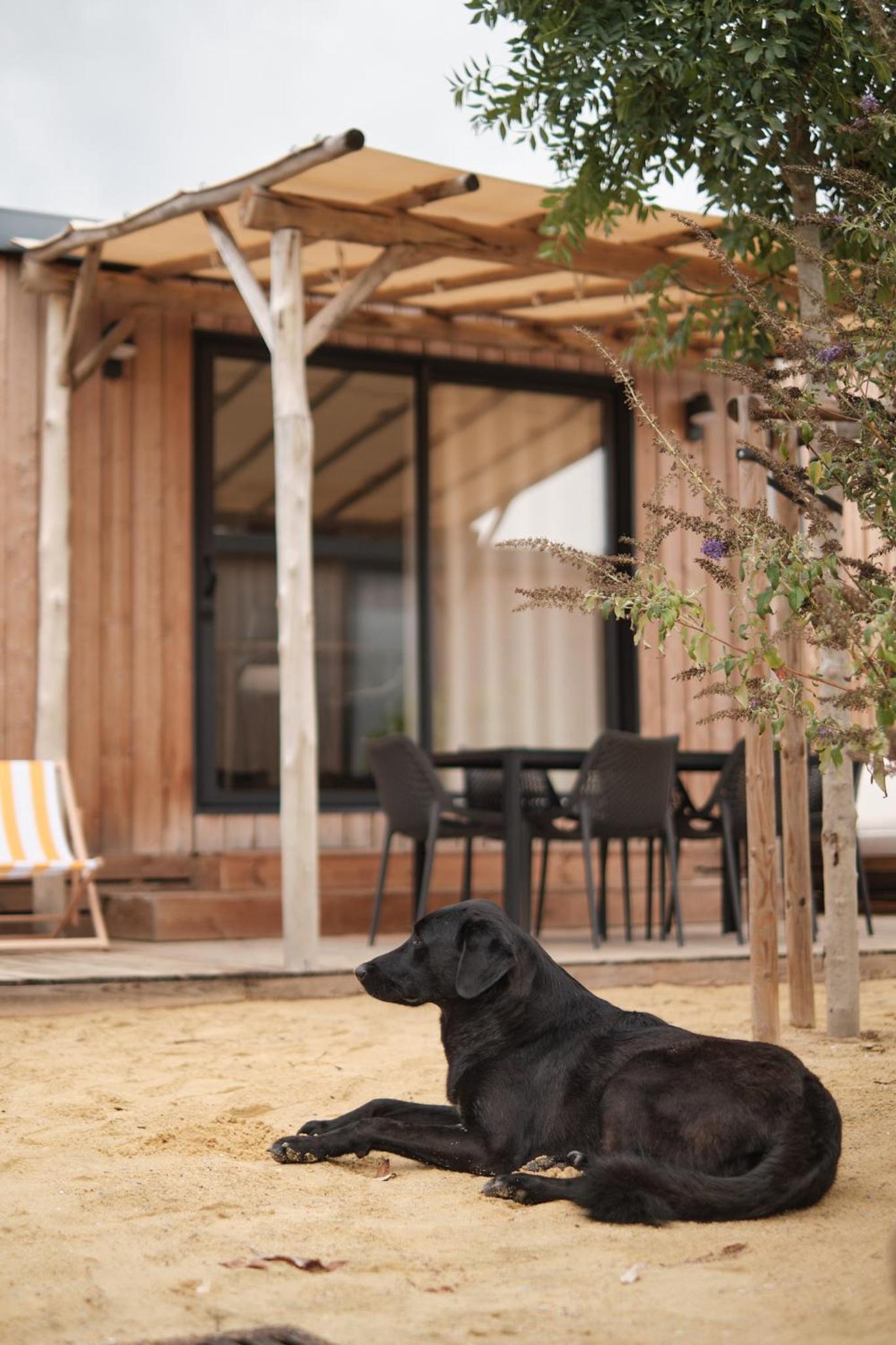 Blendin Retreat Agde
