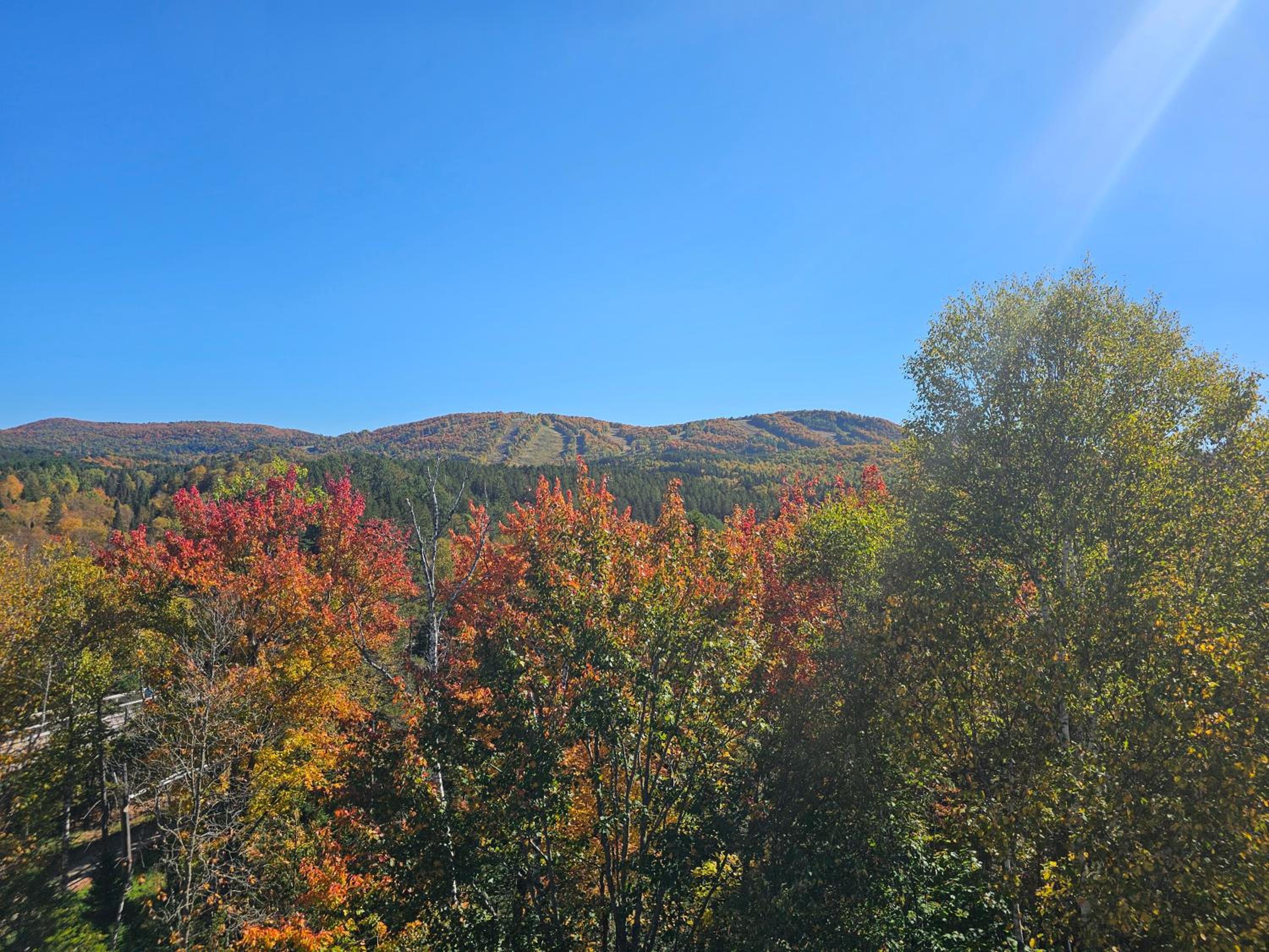 Yomi Chalet