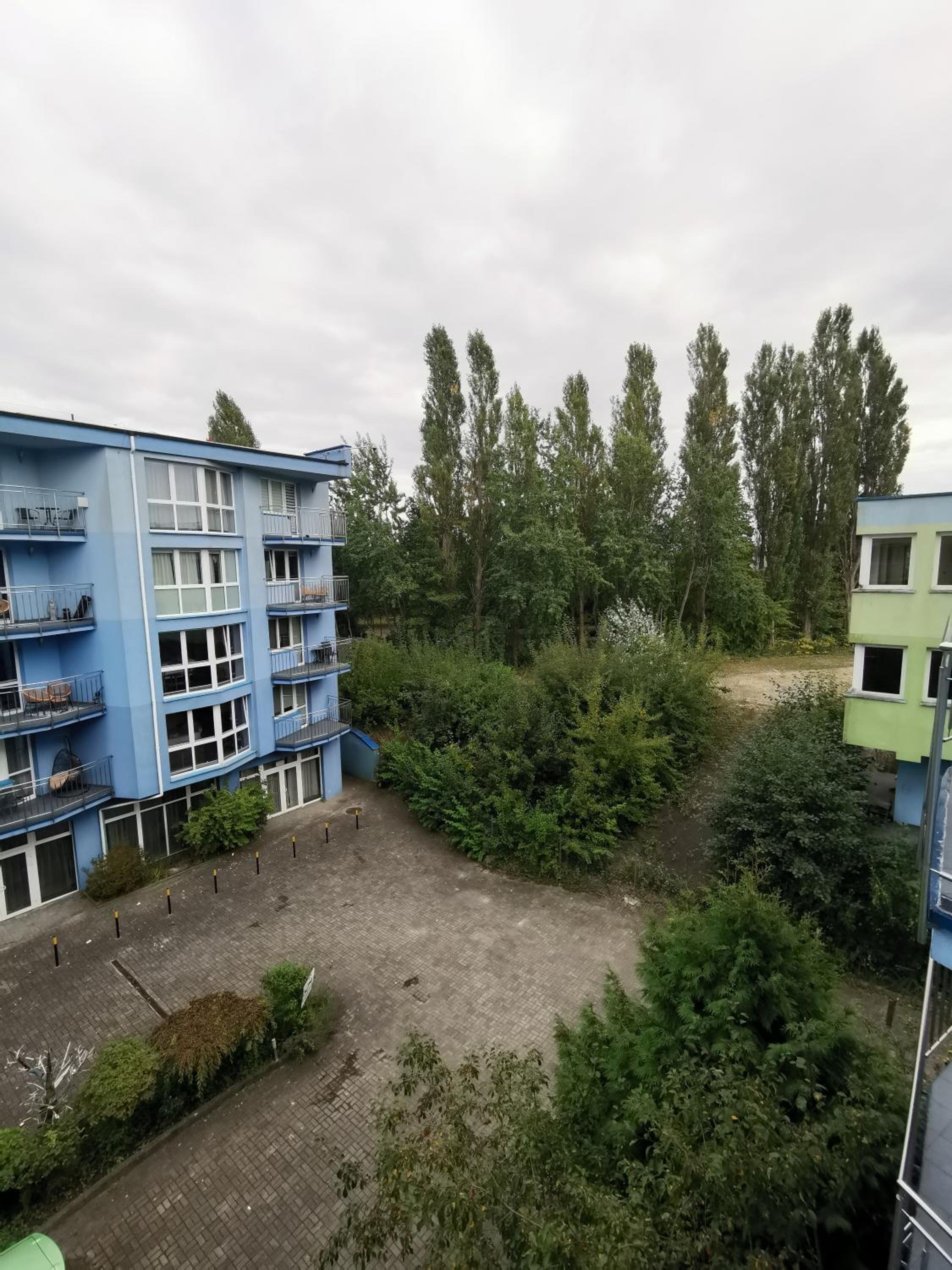 Photo 25