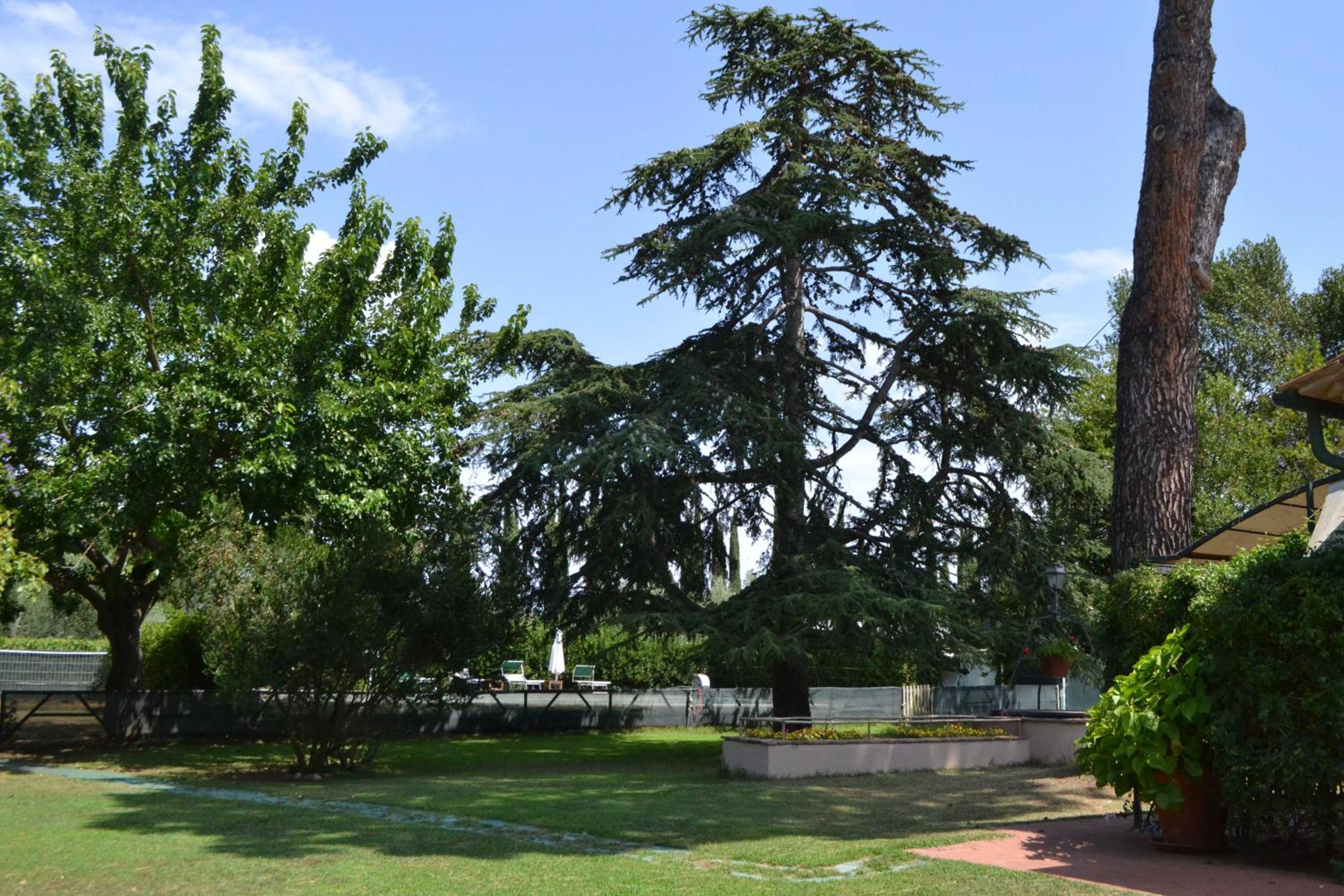 Relais Felciaino B&B view 3