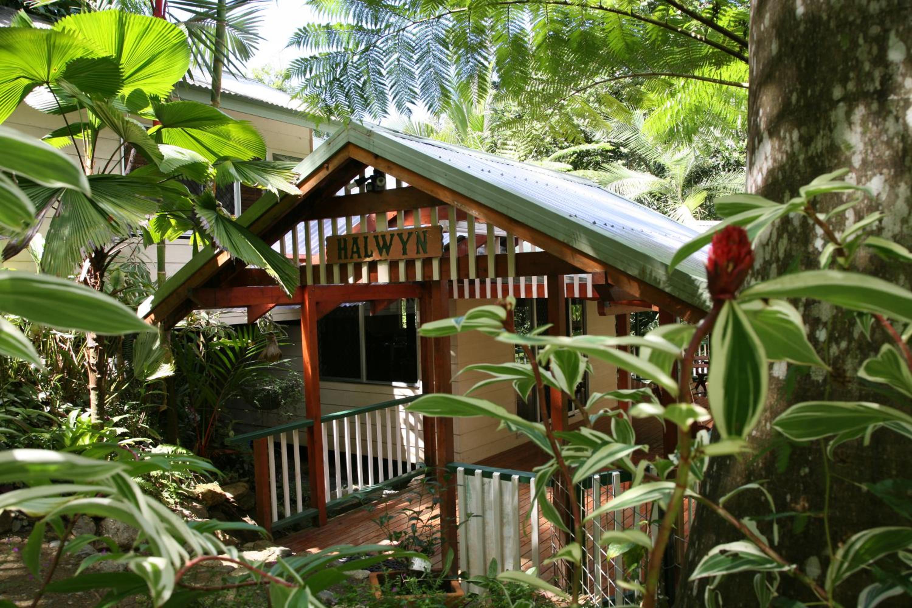 Daintree Secrets Rainforest Sanctuary