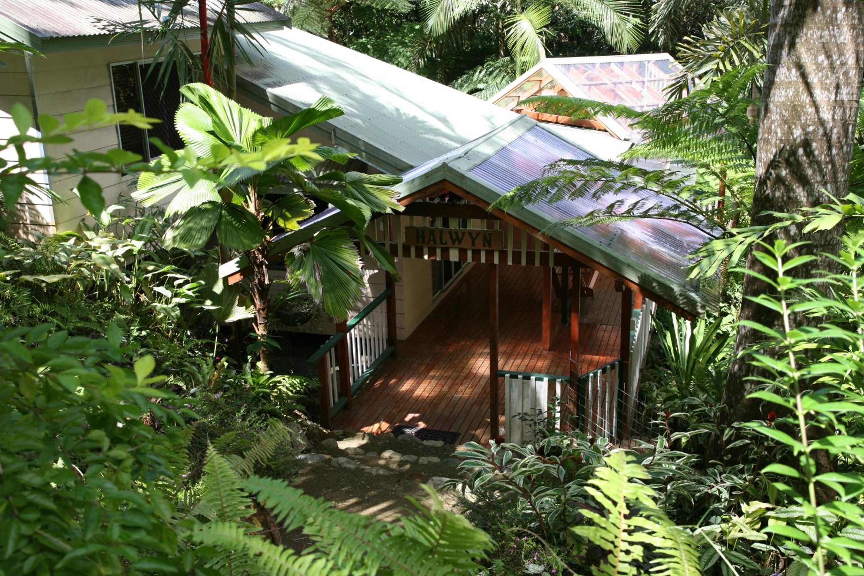 Daintree Secrets Rainforest Sanctuary